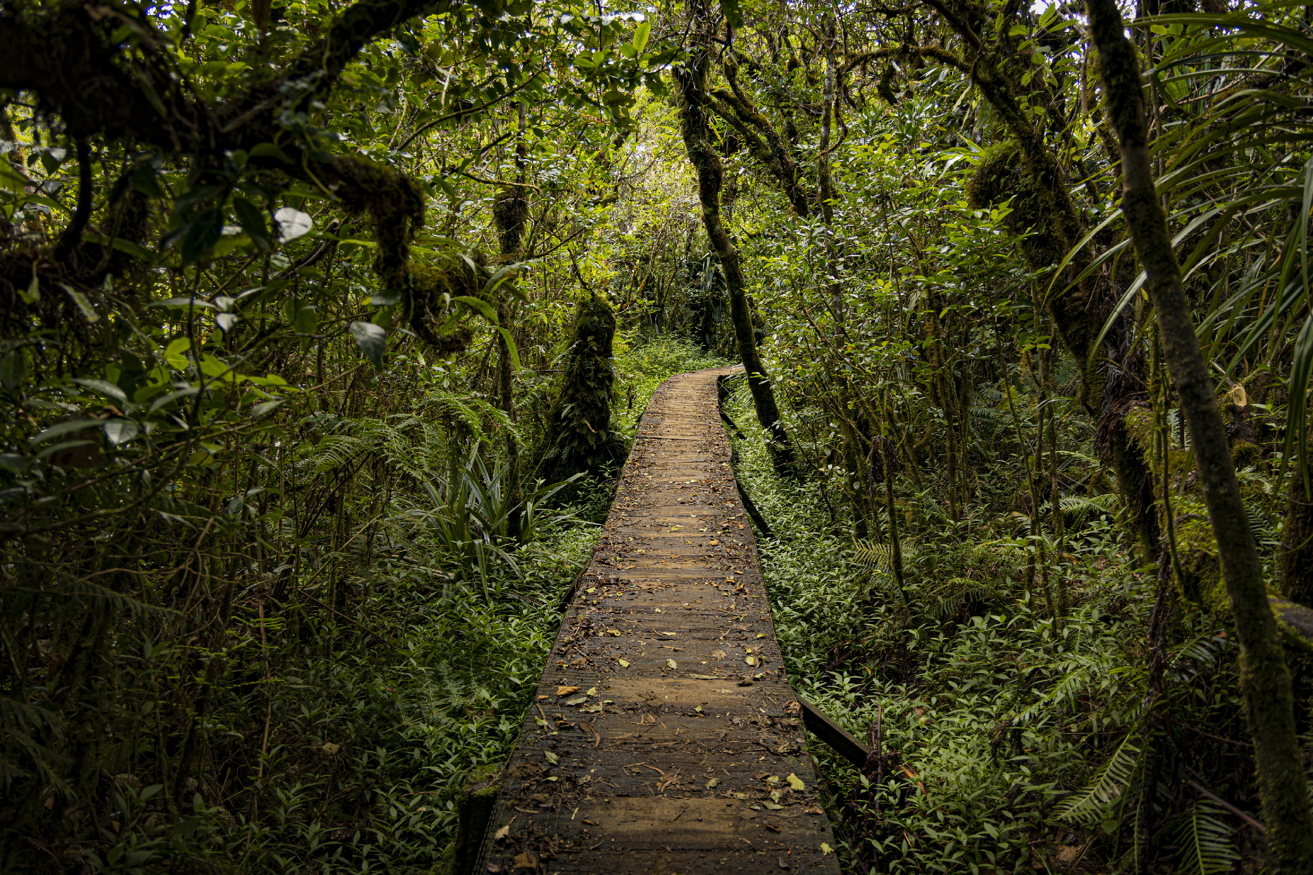 Foto: © iStock / Endemik Studio