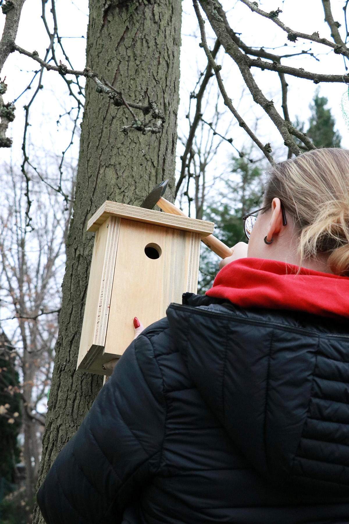 Bausätze gegen Spende: Mit einer großen Gemeinschaftsaktion unterstützt das Tischlerhandwerk in NRW das WDR 2 Weihnachtswunder mit insgesamt 2.023 Nistkasten-Bausätzen. Foto: © Tischler NRW