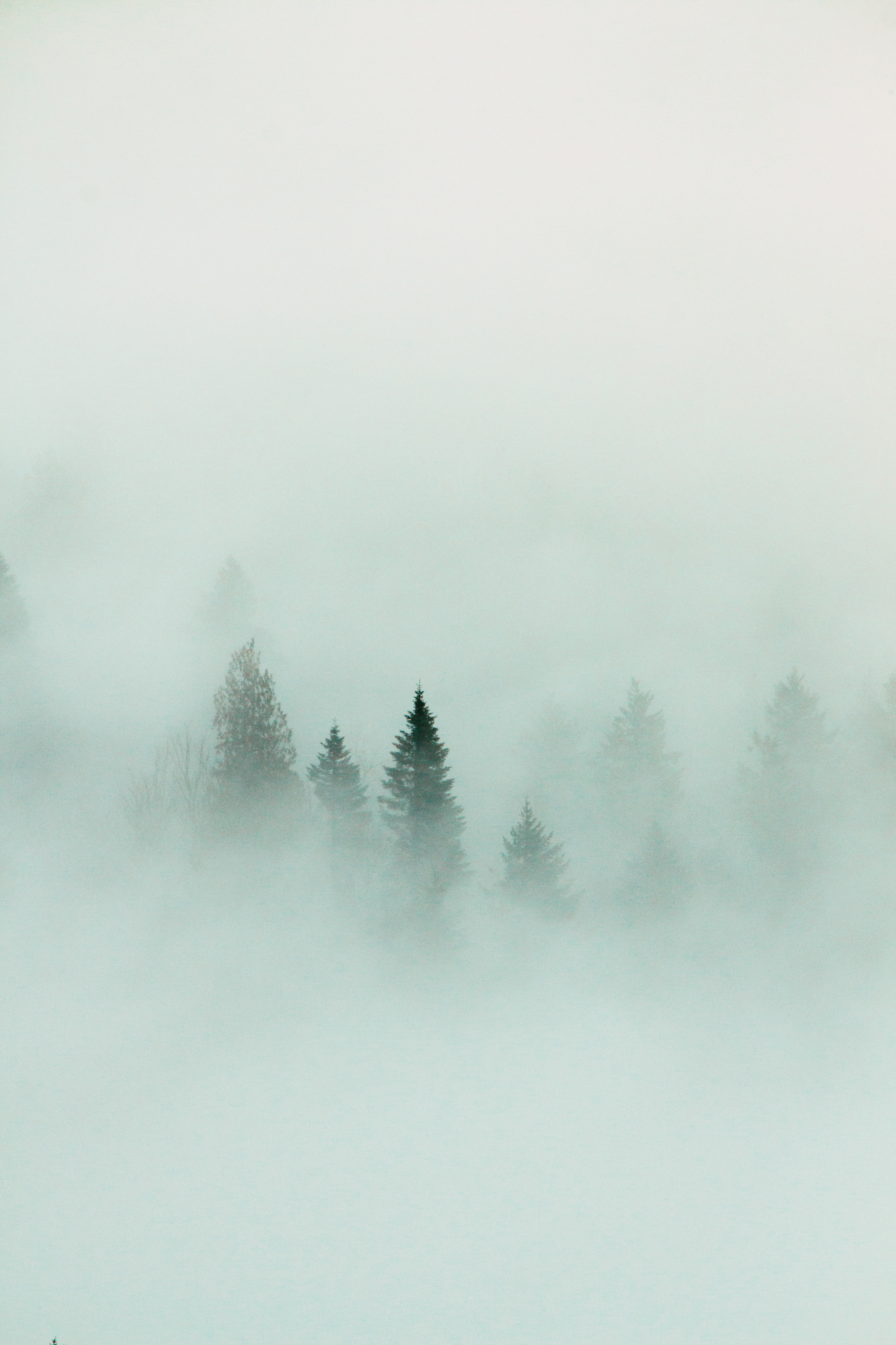 Foto: © freepik.com/wirestock