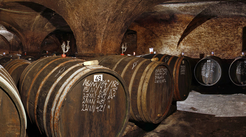 Region SAAR AN DER MOSEL: In den sogenannten Fuderfässern lagert der Wein in dem ursprünglichen Gewölbekeller der Wasserburg. Foto: © Fotos: Shahzad Talukder/Neha Deshmuk on Unsplash/Thomas Jung