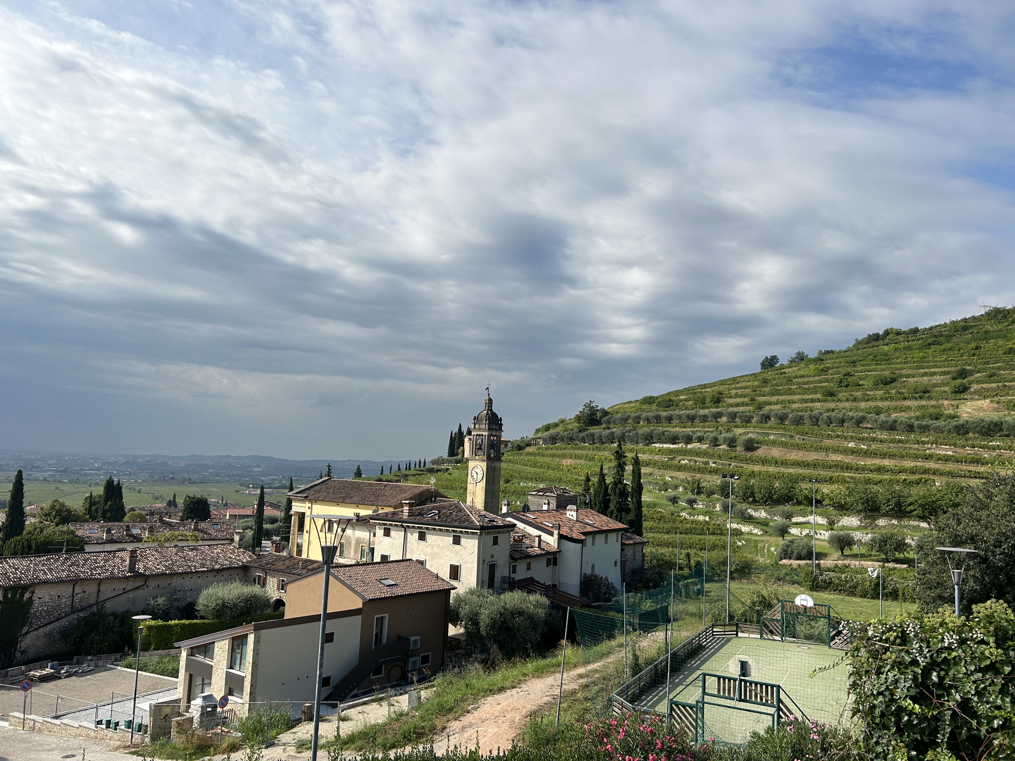 Blick vom Weinberg Montepiazzo. Foto: © DHB