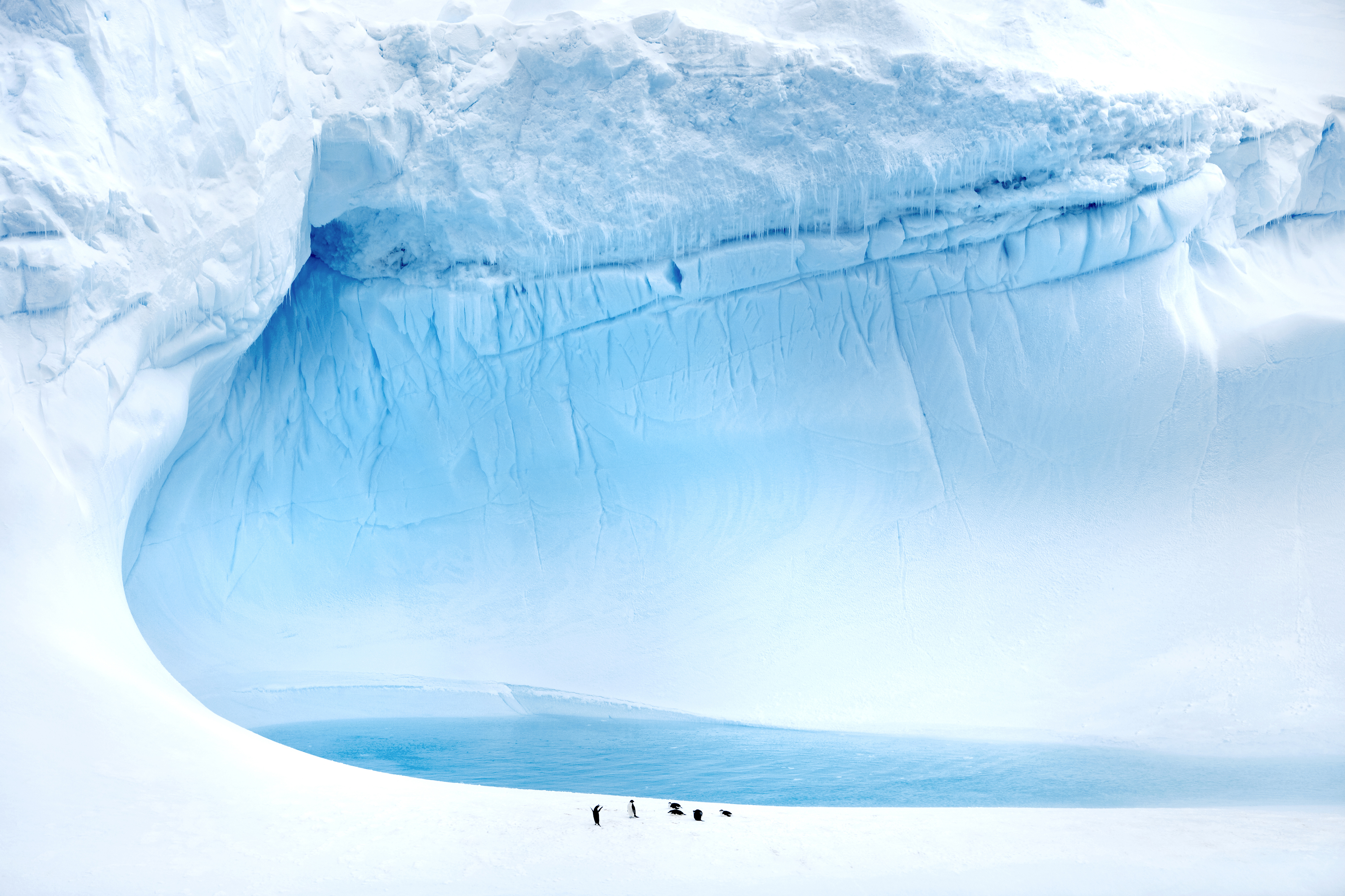 ICE ICE BABY - Polare Blautöne. King George Island, Shetlandinseln: Eine ungewöhnliche Szene in der Antarktis: Eine Gruppe Eselspinguine hat auf einem perfekten Eisberg eine spontane Poolparty im Schmelzwasser gestartet. Das Bild entstand an Bord des Traumschiffs MS Deutschland. Foto: © Holger Leue / leue-photo.com