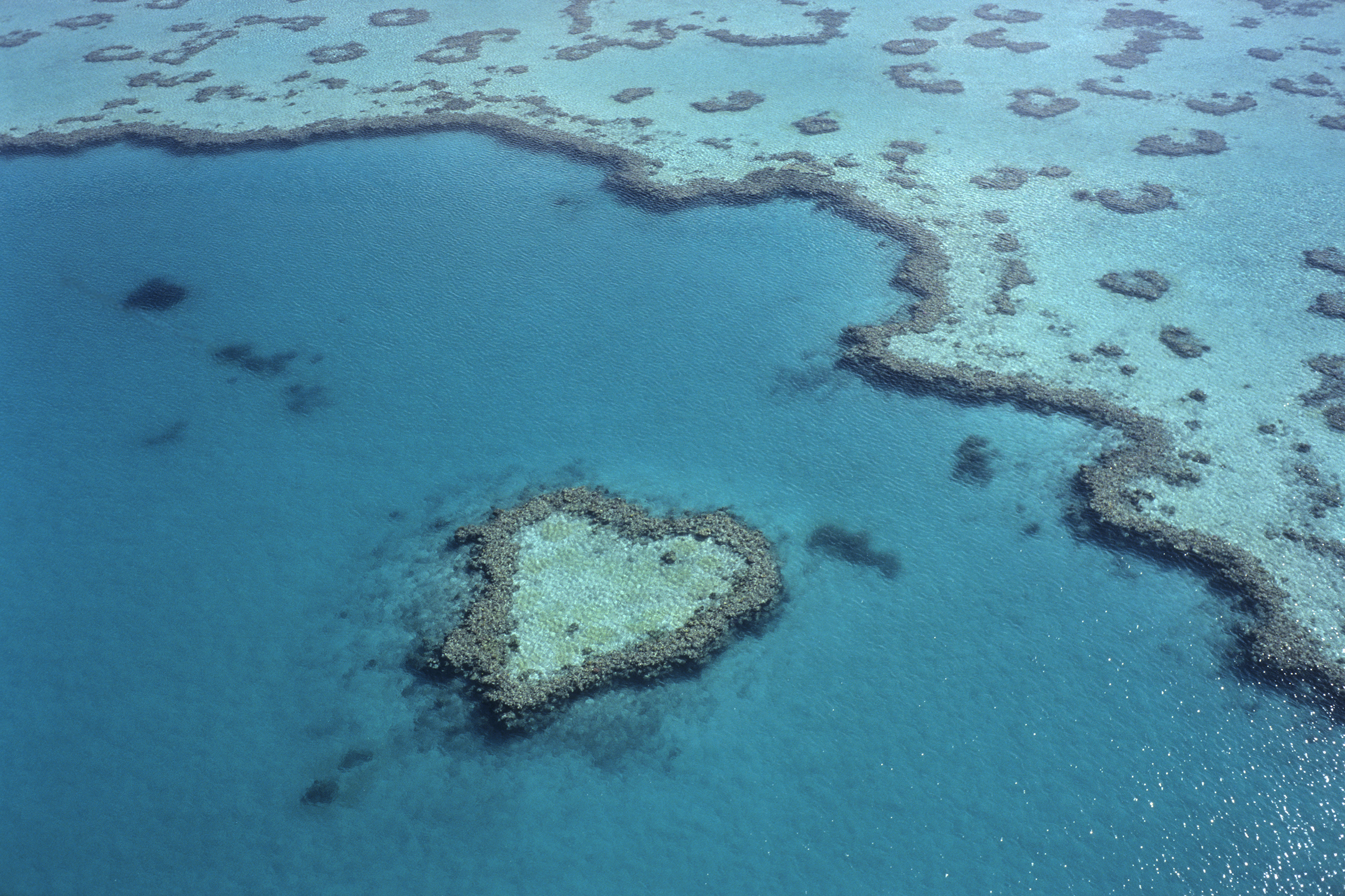 Heart-Shaped Reef, Australien: Natürliches Wunder und romantisches Symbol zugleich: Diese einzigartige Korallenformation, die Teil des berühmten Great Barrier Reef ist, bildet die perfekte Form eines Herzens und strahlt eine außergewöhnliche Schönheit aus. Als beliebtes Ziel für Flüge und Bootstouren zieht es jedes Jahr zahlreiche Touristen an. Das Heart-Shaped Reef steht als eindrucksvolles Zeugnis für die Kreativität und Vielfalt der Natur. Foto: © Holger Leue / leue-photo.com