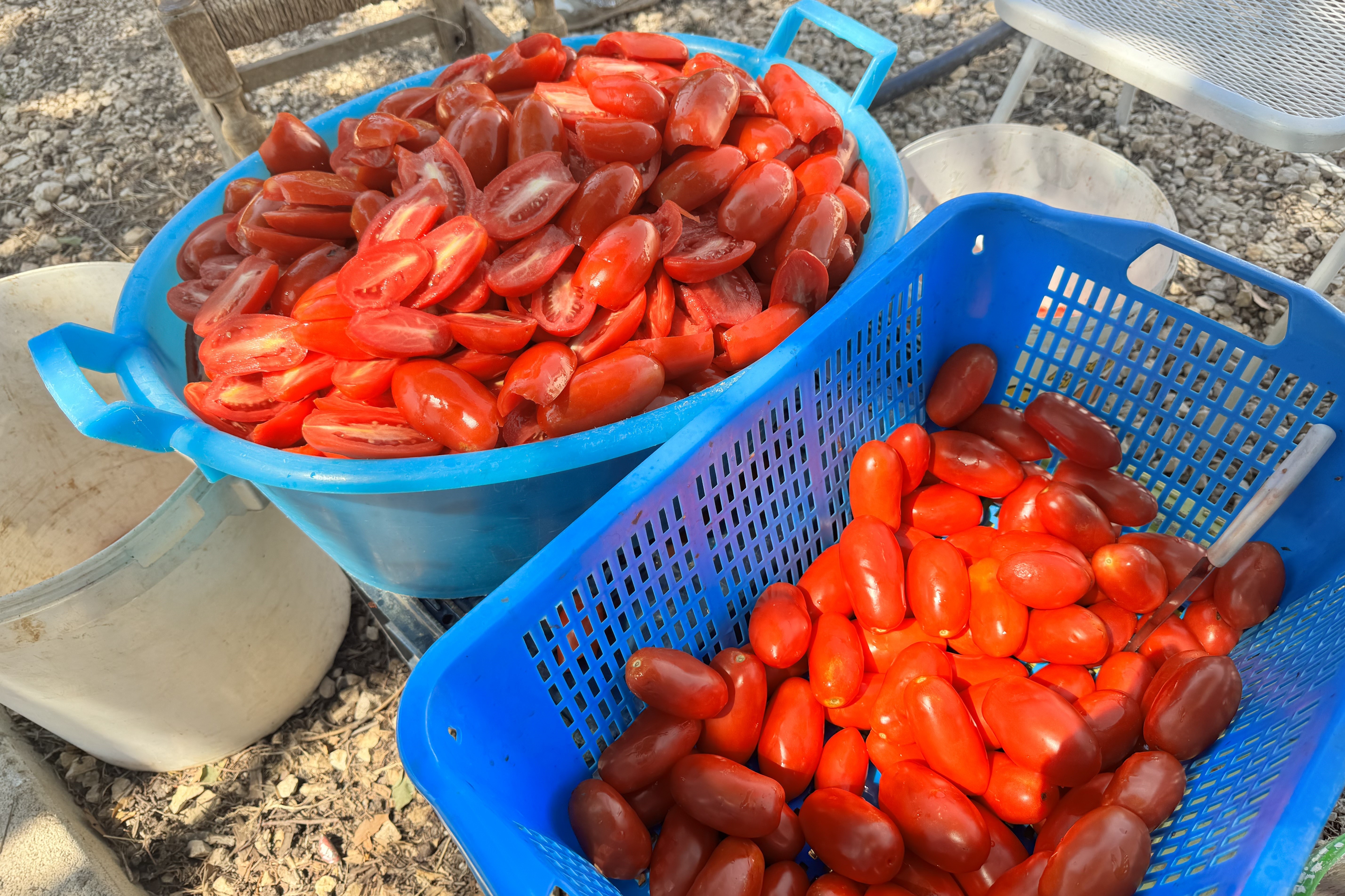 Einheimische nutzen viele der Produkte, um f&uuml;r Vorr&auml;te &uuml;bers ganze Jahr zu sorgen. Aus Tomaten wird Salsa, aus Oliven &Ouml;l, aus Trauben Wein. Foto: © Verena S. Ulbrich