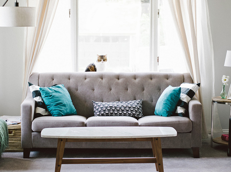 Wurde modernes Wärmedämmglas eingesetzt, darf das Sofa auch gerne direkt am Fenster stehen. Foto: © StockSnap/Pixabay