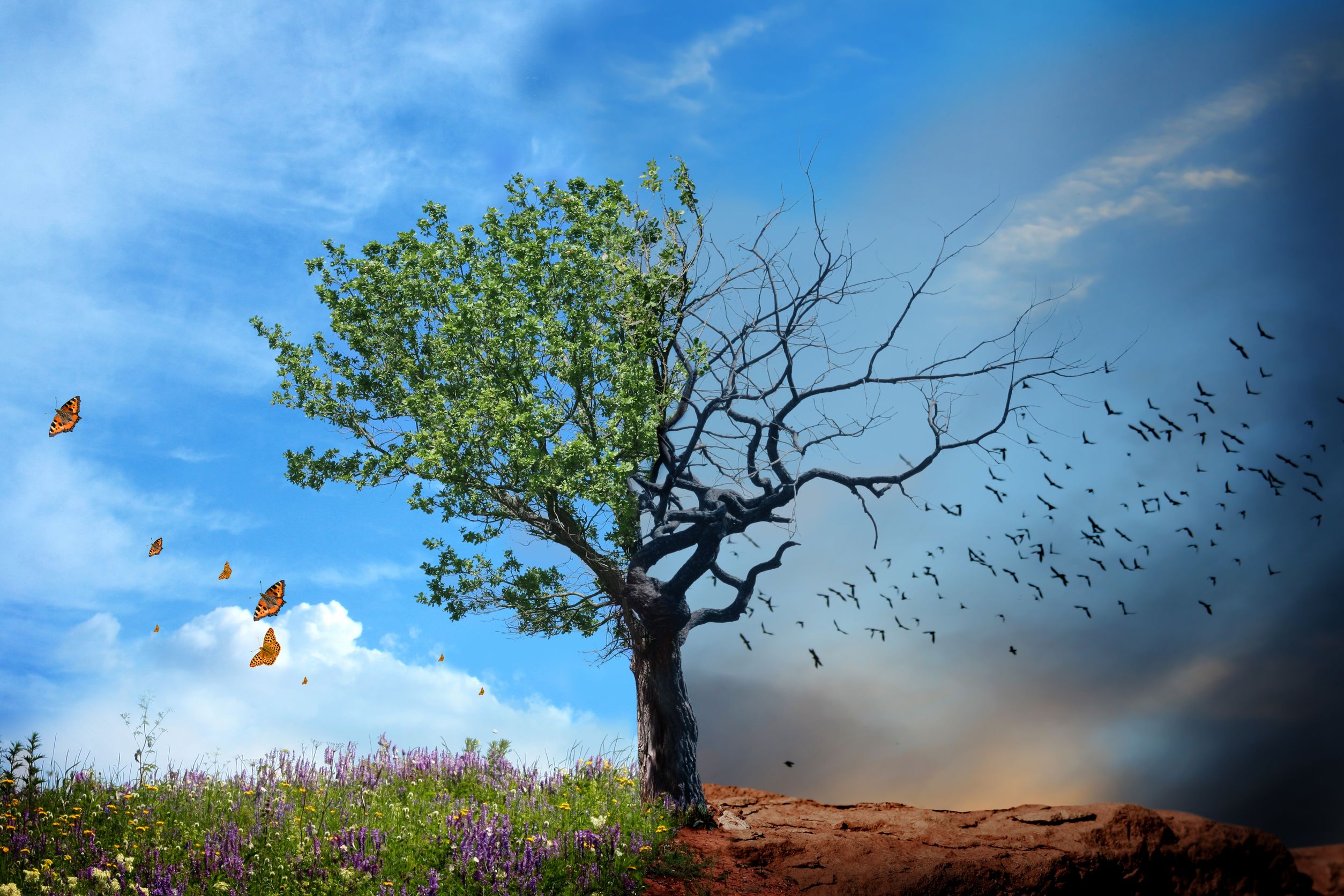 Foto: © lilkar/123RF.com