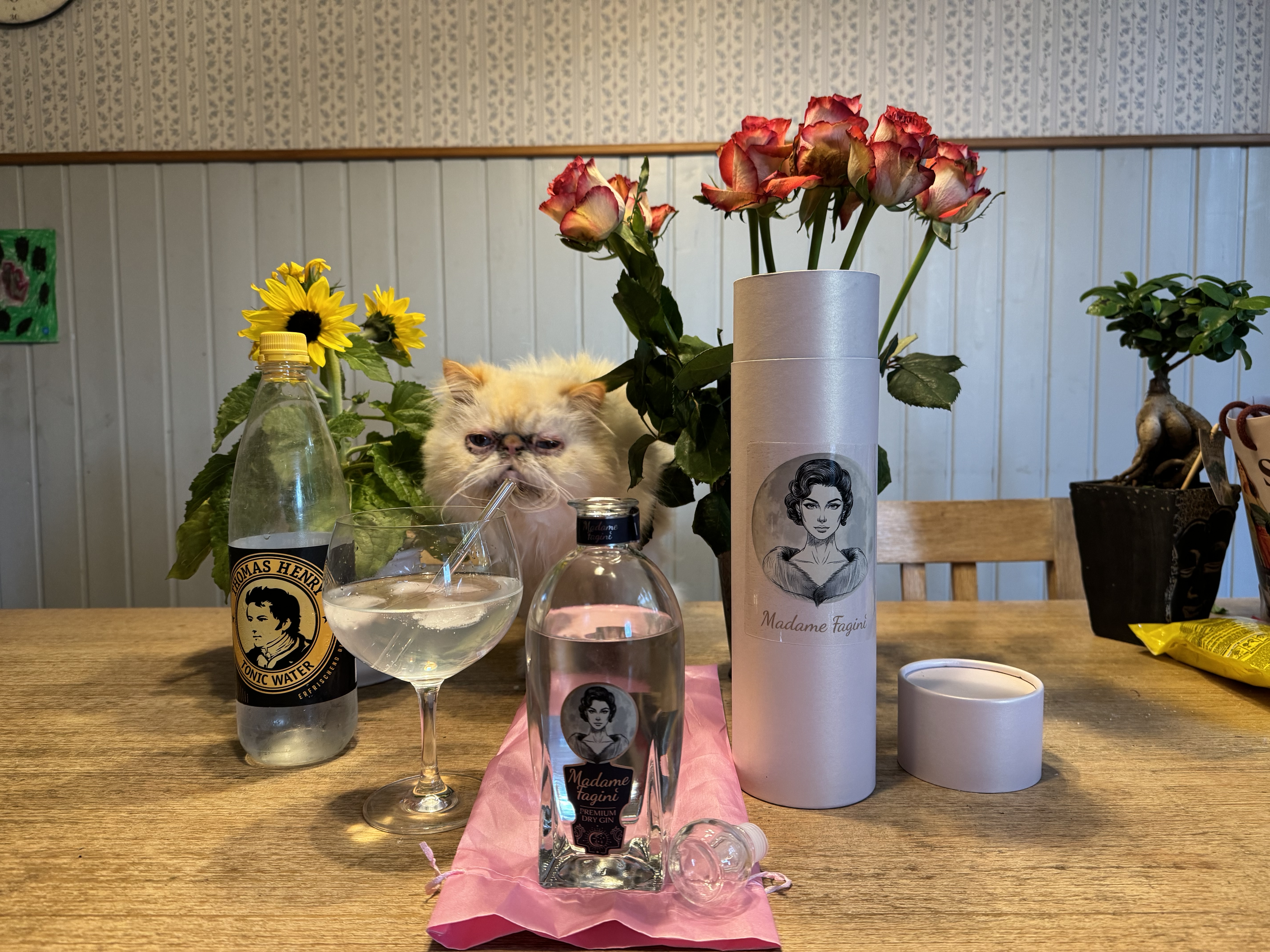 Der Madame Fagini Dry Gin Foto: © Stefan Buhren