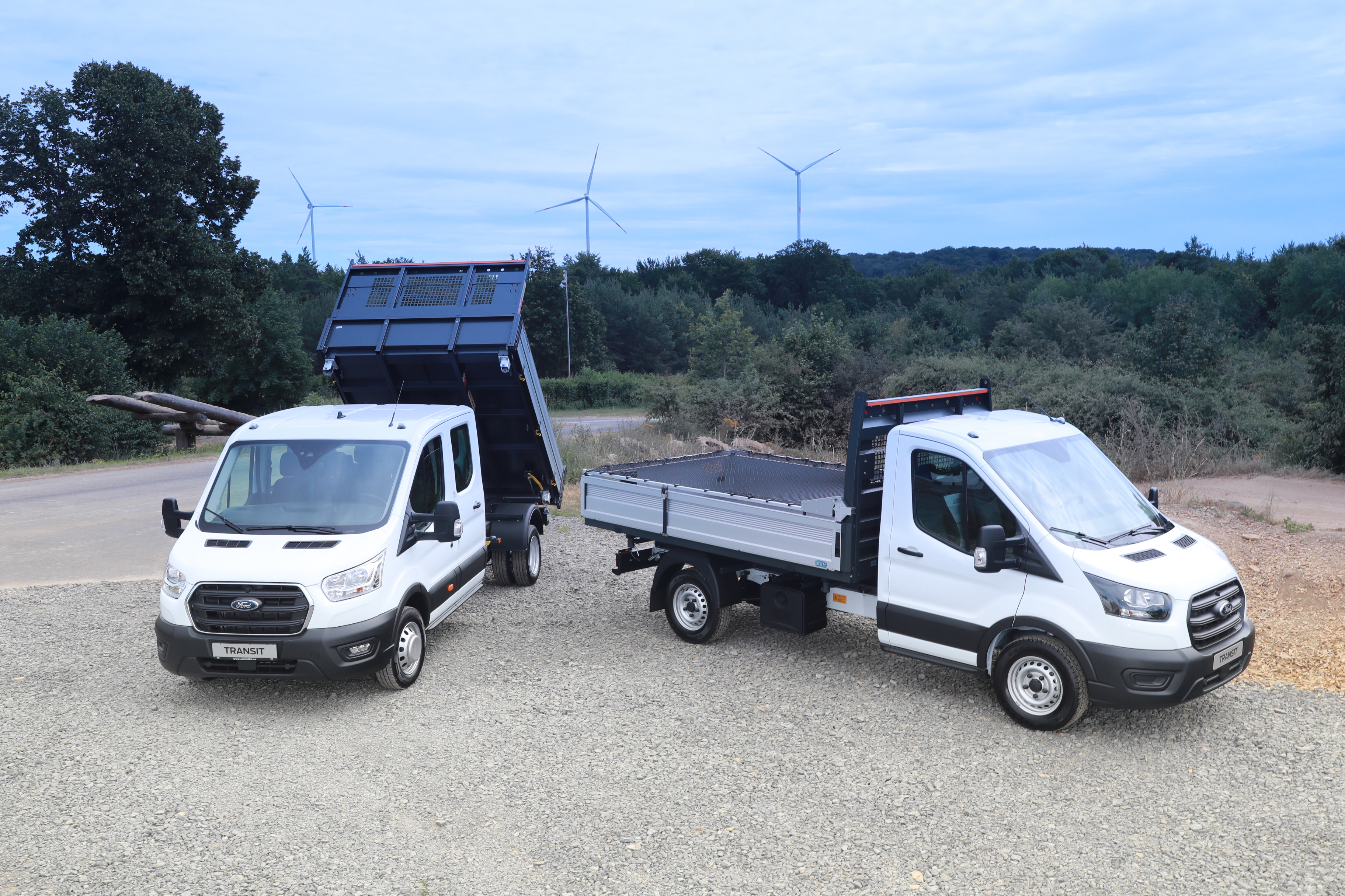 Der Ford Transit ist als Kastenwagen, Kombi, Fahrgestell, Pritschenwagen und Bus erhältlich. Foto: © Helmut Weipert