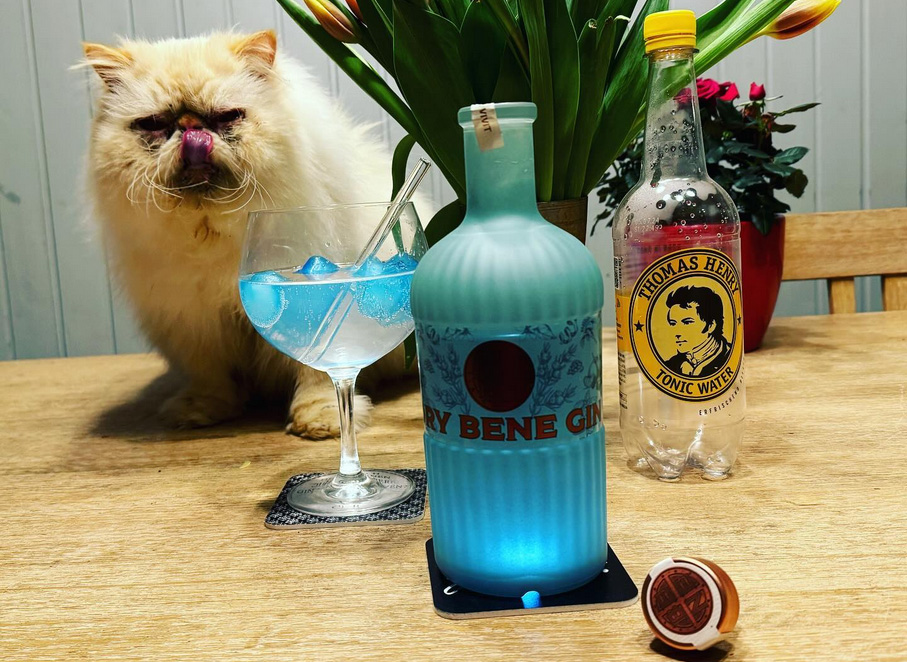 Der Dry Bene Gin Foto: © Stefan Buhren