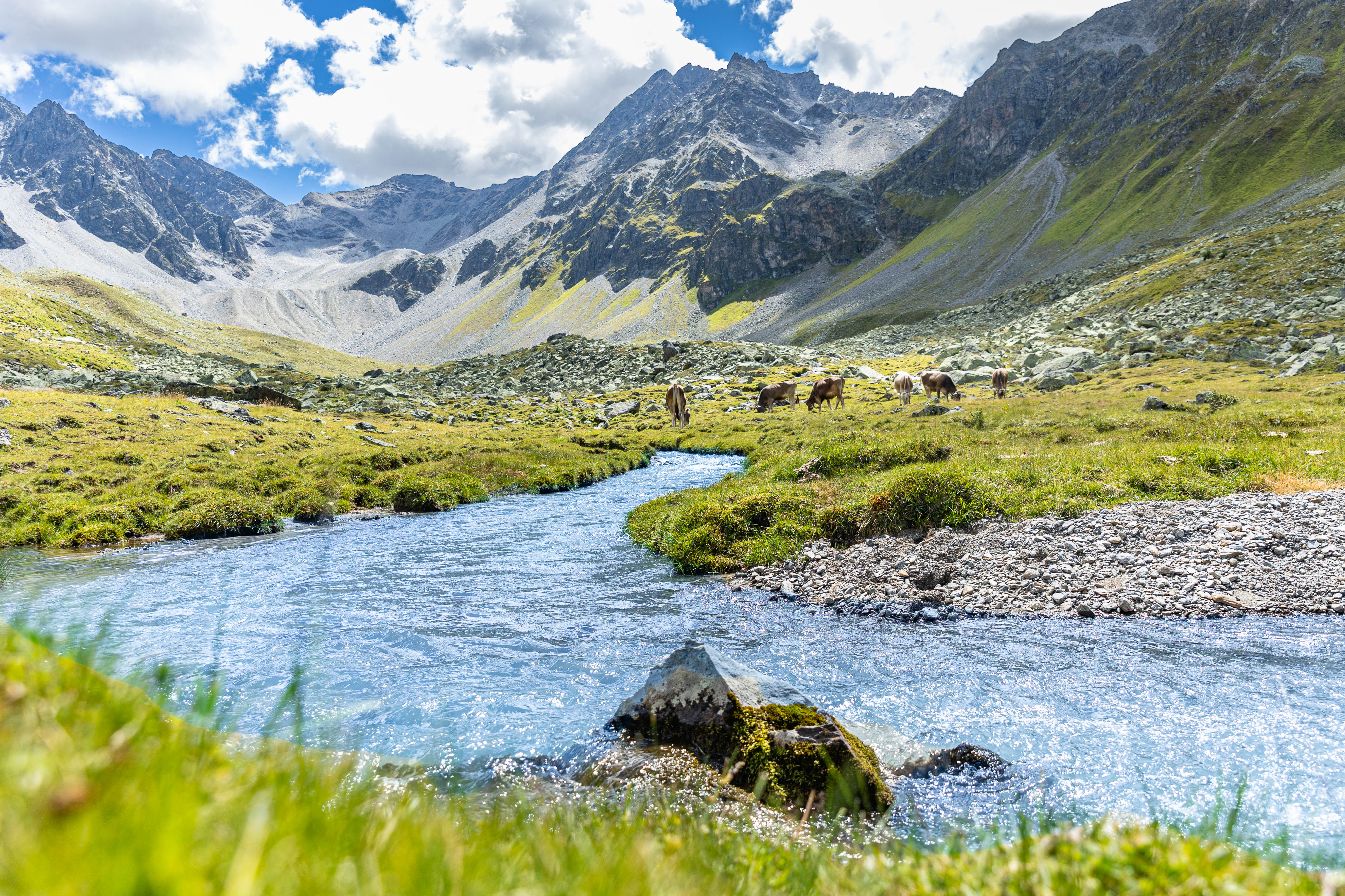 Versteckt liegt das kleine ­Platzertal in den Ötztaler Alpen. Es ist eines der wenigen Hochtäler Südtirols mit großen Moor- und Feuchtgebietsflächen. Foto: © Franz Güntner