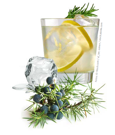 Der Klassiker unter den Longdrinks: ein GinTonic mit einer Zitronenscheibe Foto: © iStock.com / al_ter; ozmen / stock.adobe.com