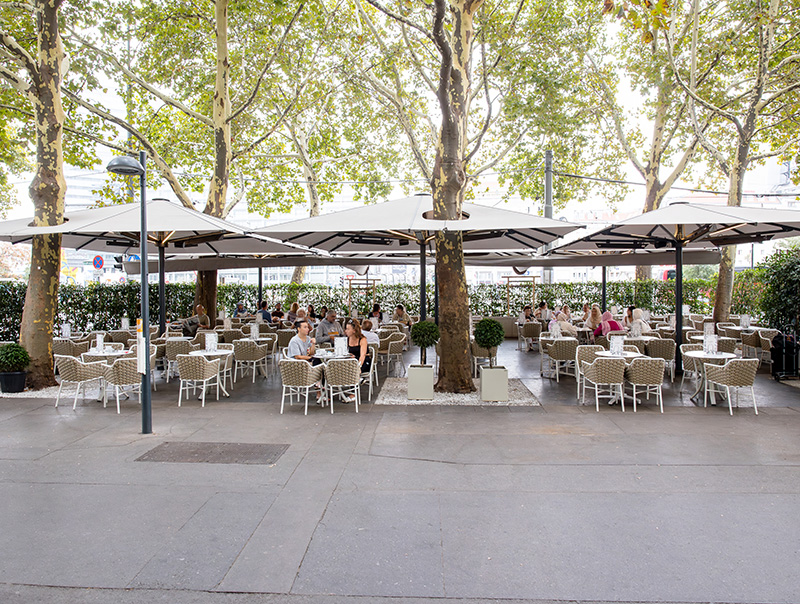 Ein unverhofftes Superduo: Baum und Sonnenschirm sorgen in der Gelateria Castelletto in Wien für perfekten Genuss unter maßgeschneidertem Schatten. Foto: © Glatz