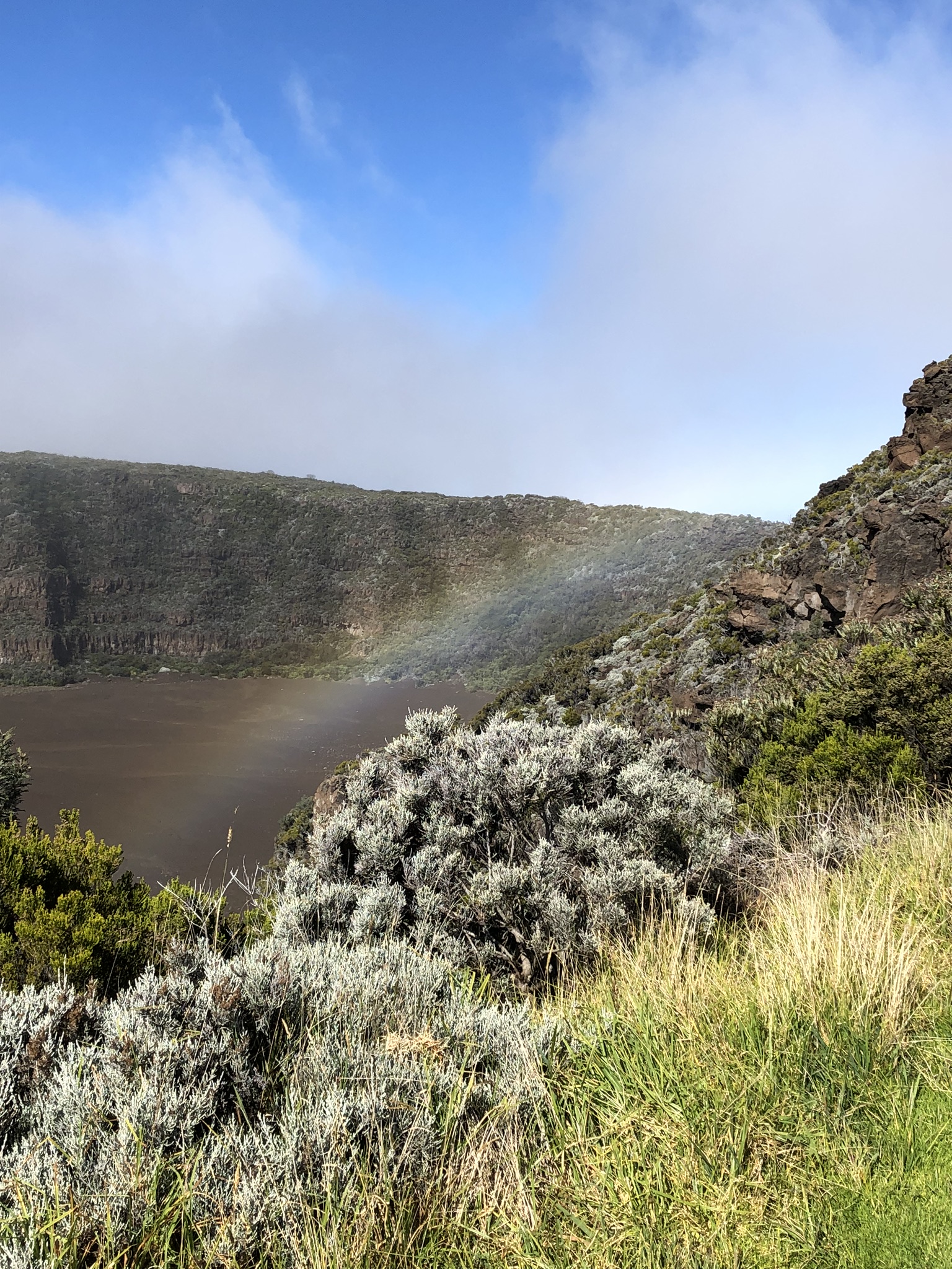 Foto: © Larissa Metke