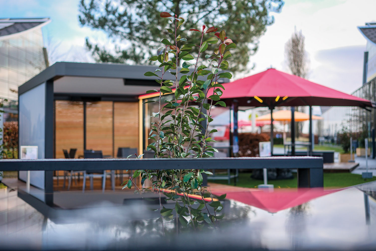 Besucherinnen und Besucher erleben unter realen Bedingungen, wie sich Außenflächen in wertvolle Umsatztreiber verwandeln lassen. Foto: © Messe Stuttgart