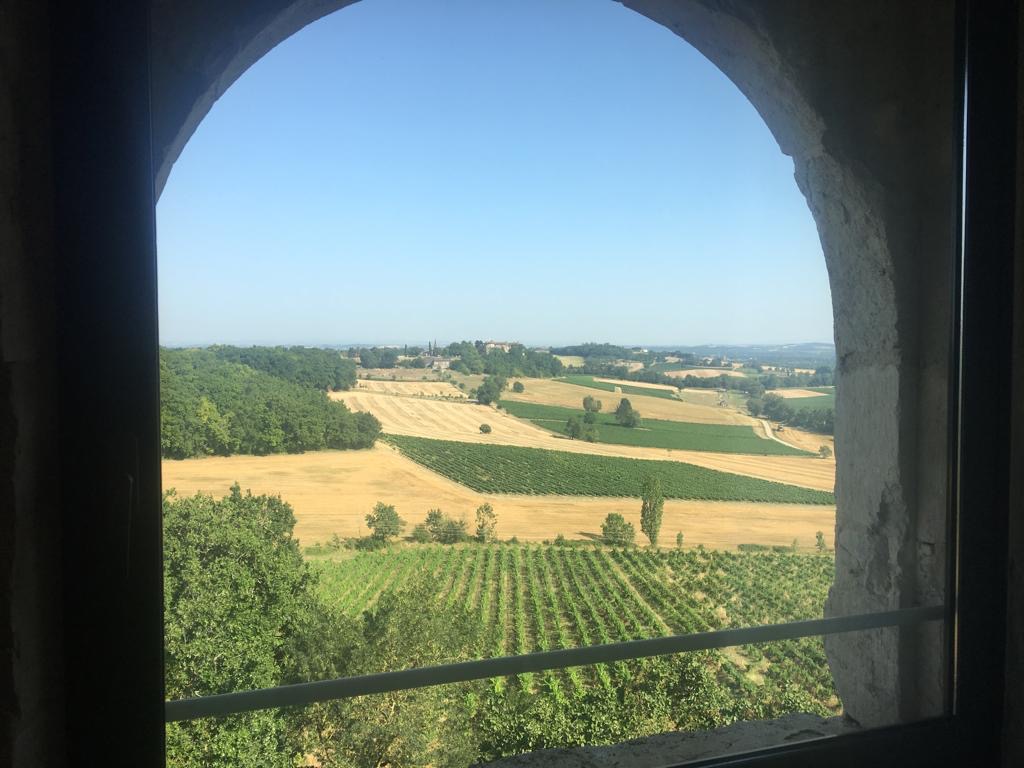 Über 200 Winzer und drei Winzergenossenschaften sorgen für hervorragende AOC-Weine. Foto: © Ville d'Albi