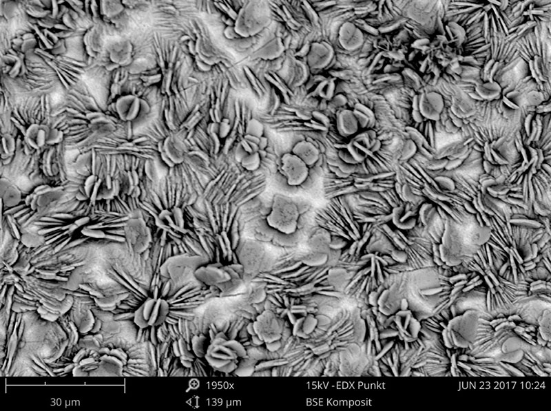 Keine Haftfestigkeit ohne Vorbehandlung – das DFO-Seminar vermittelt grundlegendes Wissen für die richtige Vorbehandlung, hier die REM-Aufnahme einer Zinkphosphatierung, metallischer Bauteile. Foto: © DFO