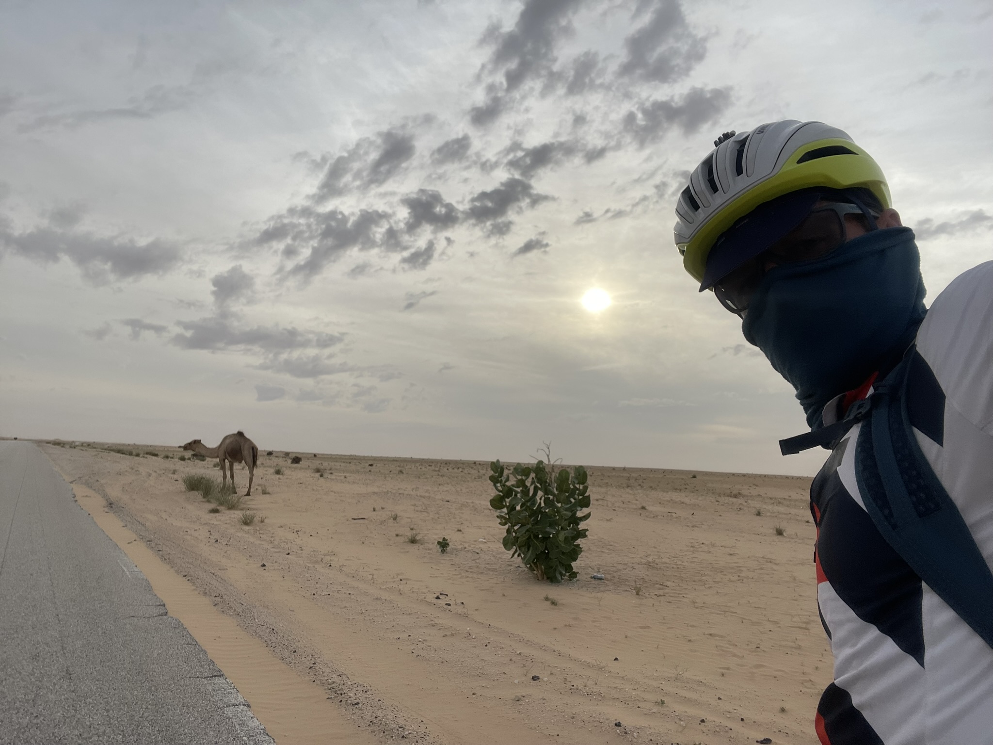 Einsamkeit in der W&uuml;ste mit Stra&szlig;e und Kamel Foto: © Thomas Großerichter