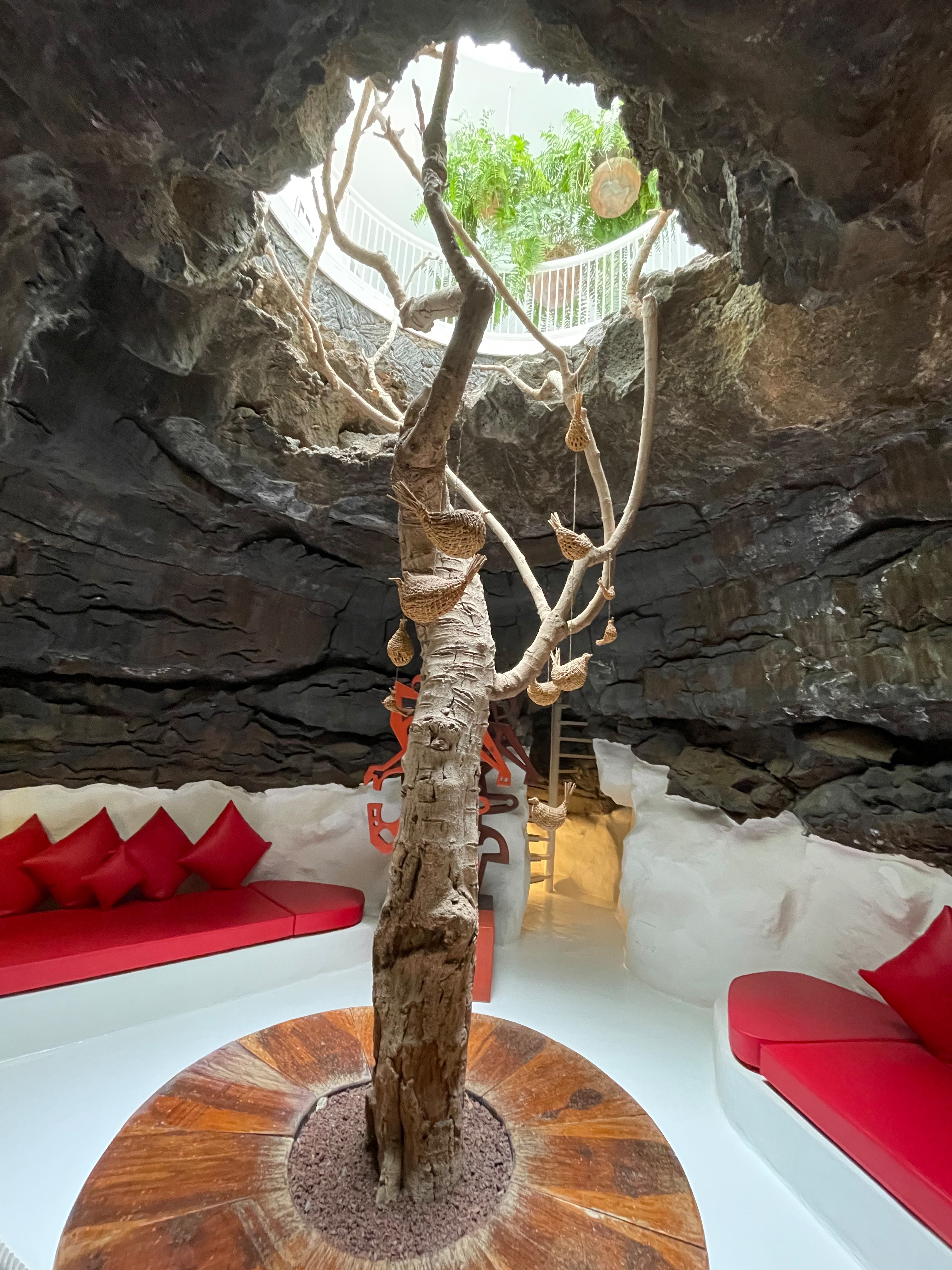 Der Feigenbaum als Inspiration. Foto: © Susanne Freitag