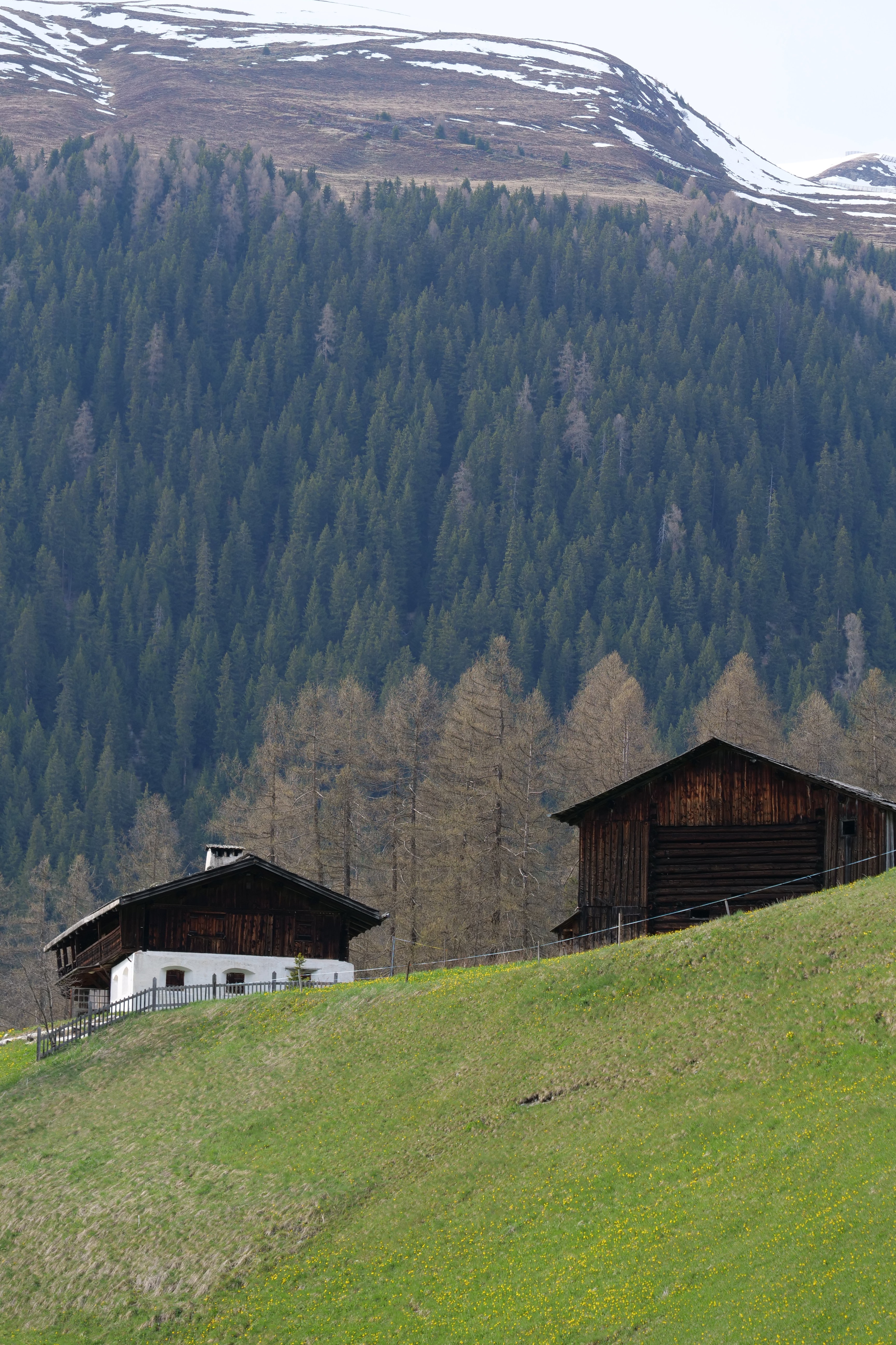 Kirchners Haus in den beeindruckenden Alpen von Davos. Foto: © Günter Schenk