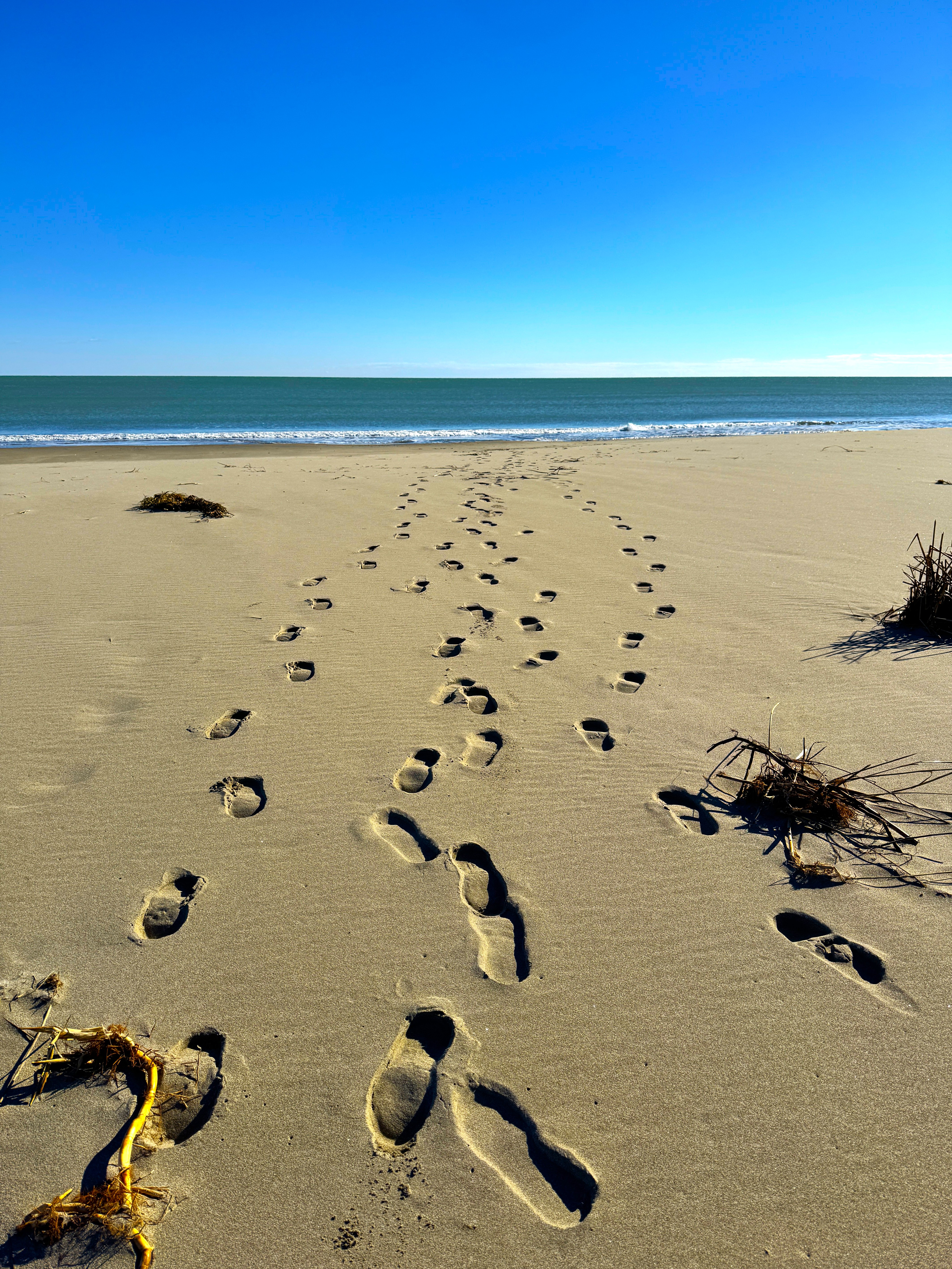 Strandspaziergang in der kalten Jahreszeit. Foto: © Verena S. Ulbrich/DHB