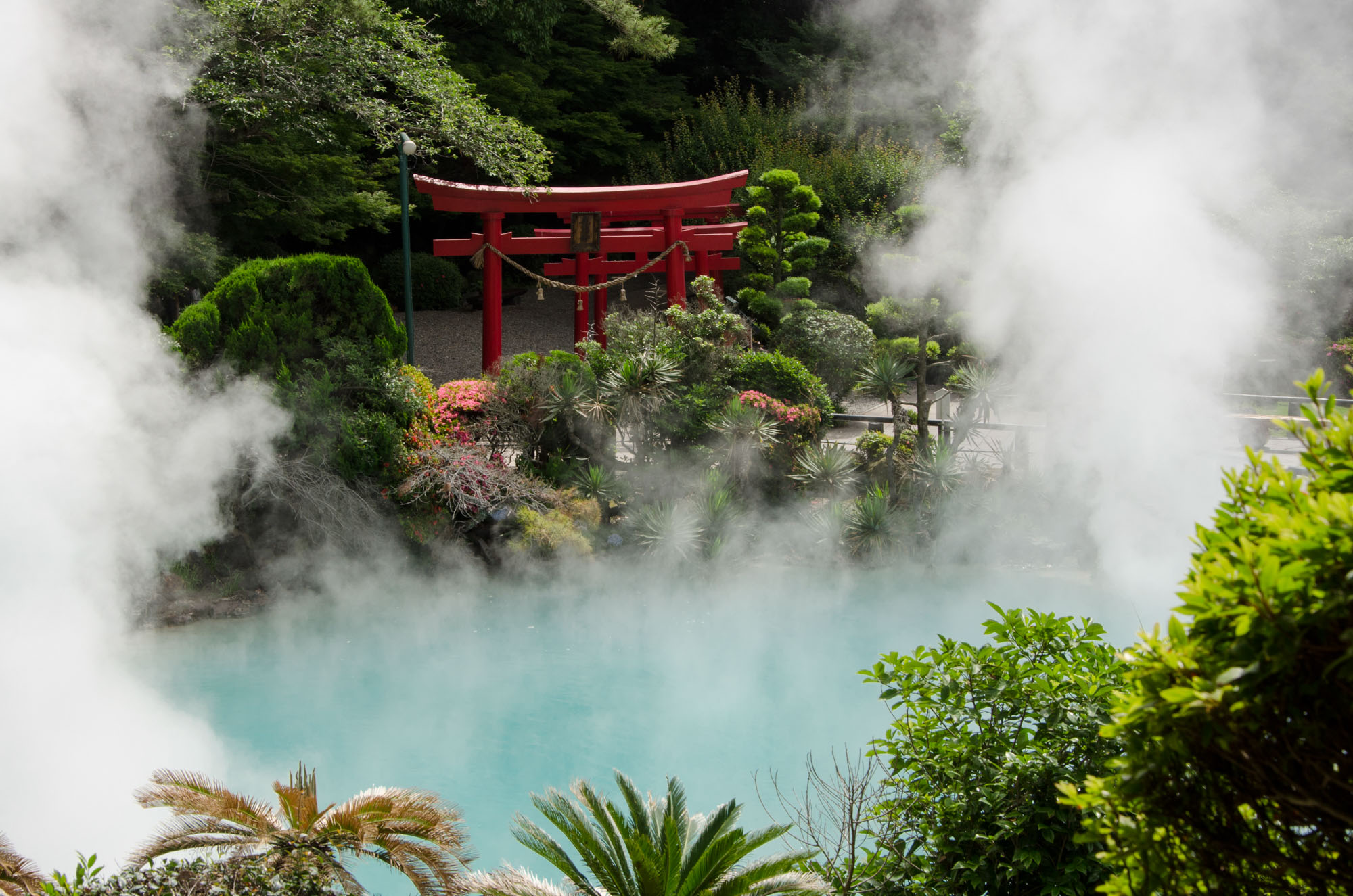 Thermalquelle in der Stadt Beppu. Foto: © istock.com/Yobab