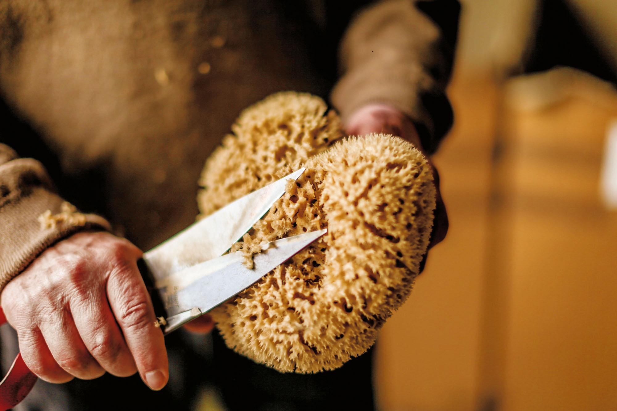 Als einer der gr&ouml;&szlig;ten Schwammh&auml;ndler Europas exportiert der Familienbetrieb handwerklich hergestellte Naturschw&auml;mme in &uuml;ber 60&nbsp;&shy;L&auml;nder. Foto: © planetmutlu.com