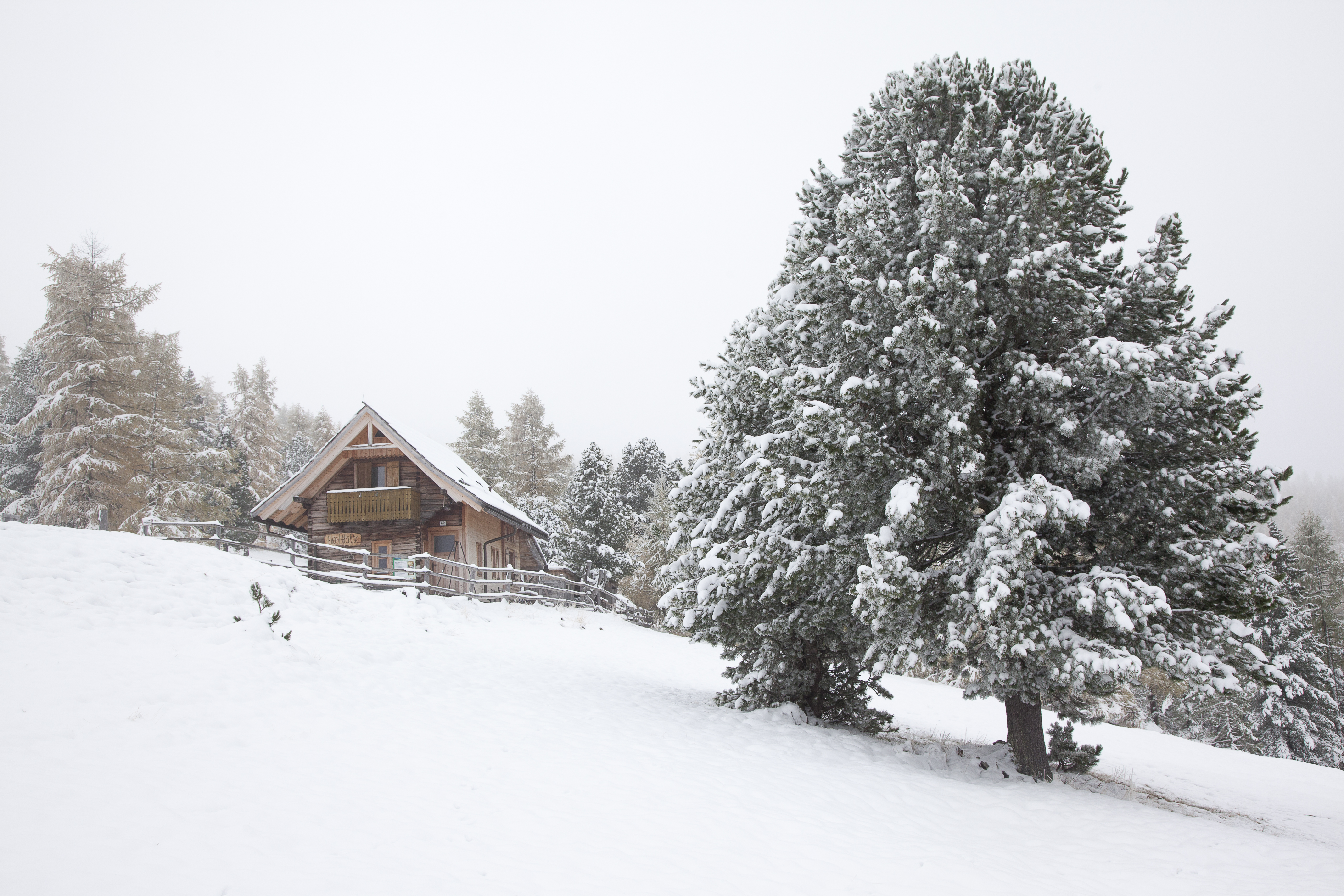 Foto: © Petra Kroll