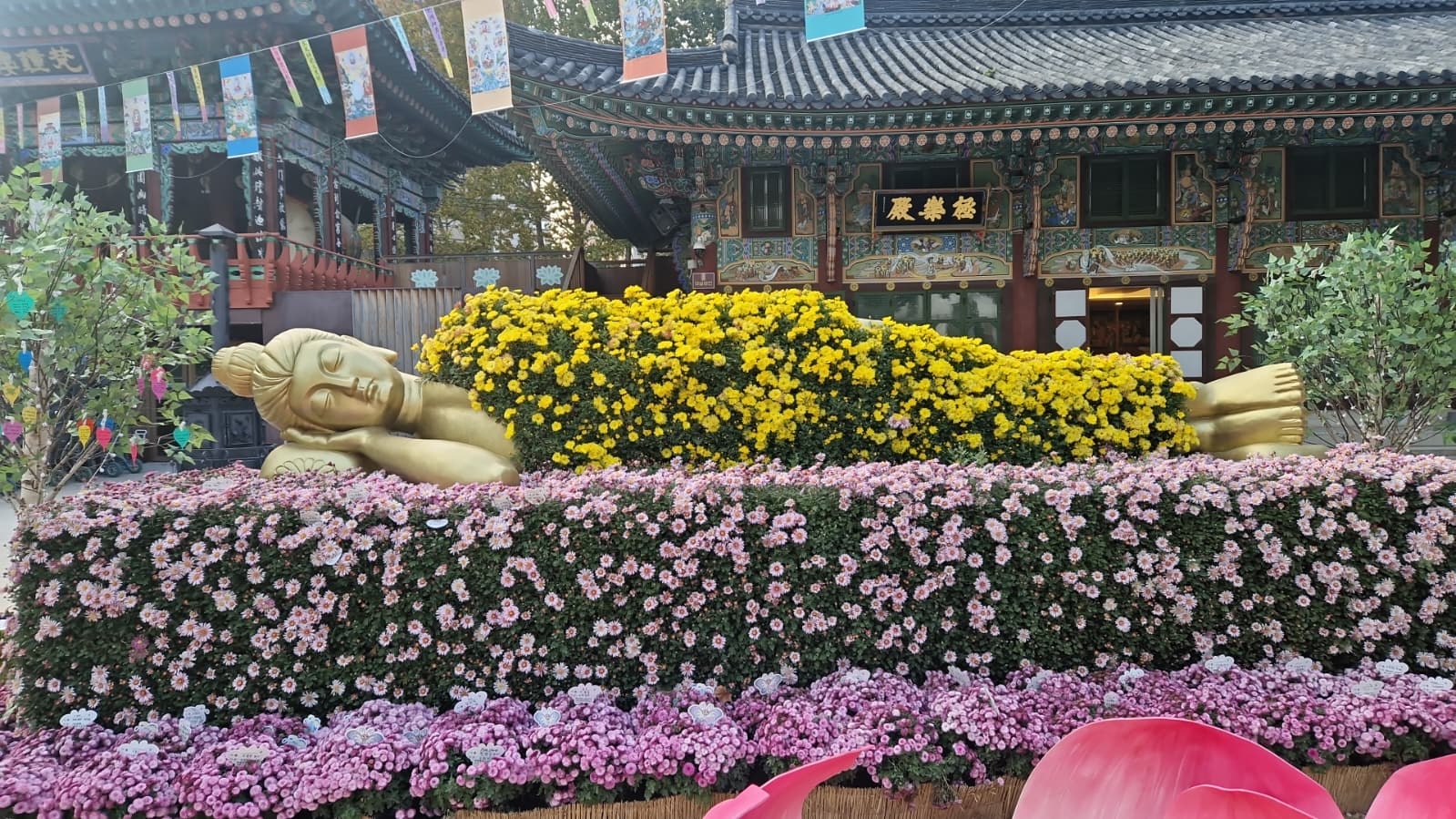 Im Jogye Buddhism gilt die Natur als direkter Ausdruck von Wahrheit und Verbundenheit, in der Menschen durch Achtsamkeit und Meditation zur Erleuchtung gelangen k&ouml;nnen. Foto: © Anna Sponagel