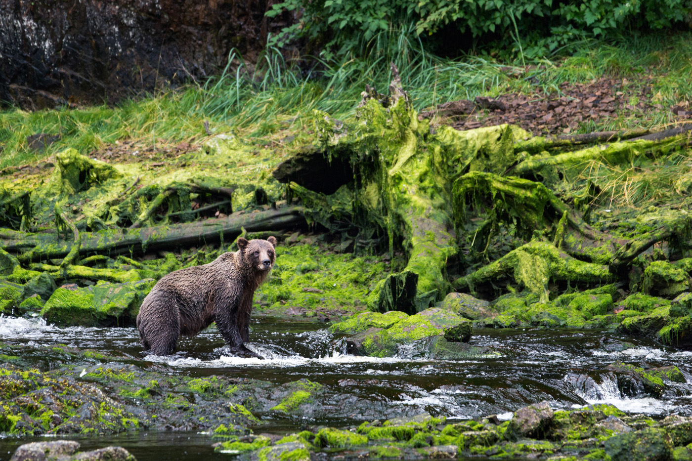 Foto: © iStock.com/wanderluster