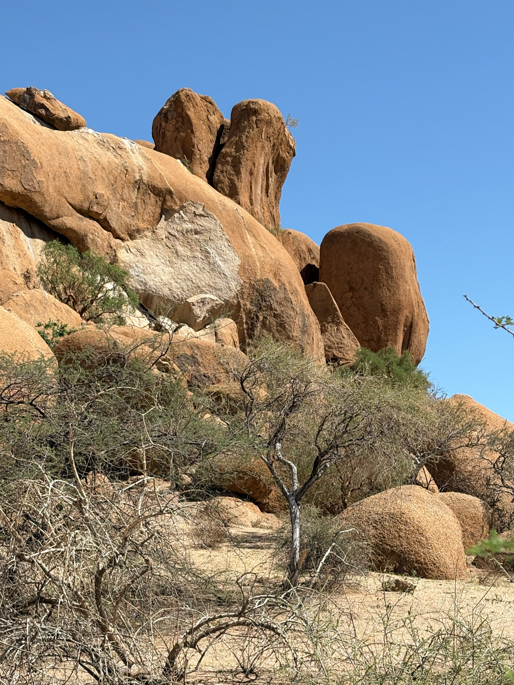 Hinter den Felsen am Fu&szlig;e der Spitzkoppe liegen historische Siedlungspl&auml;tze der San-Buschm&auml;nner Foto: © Roland Motz