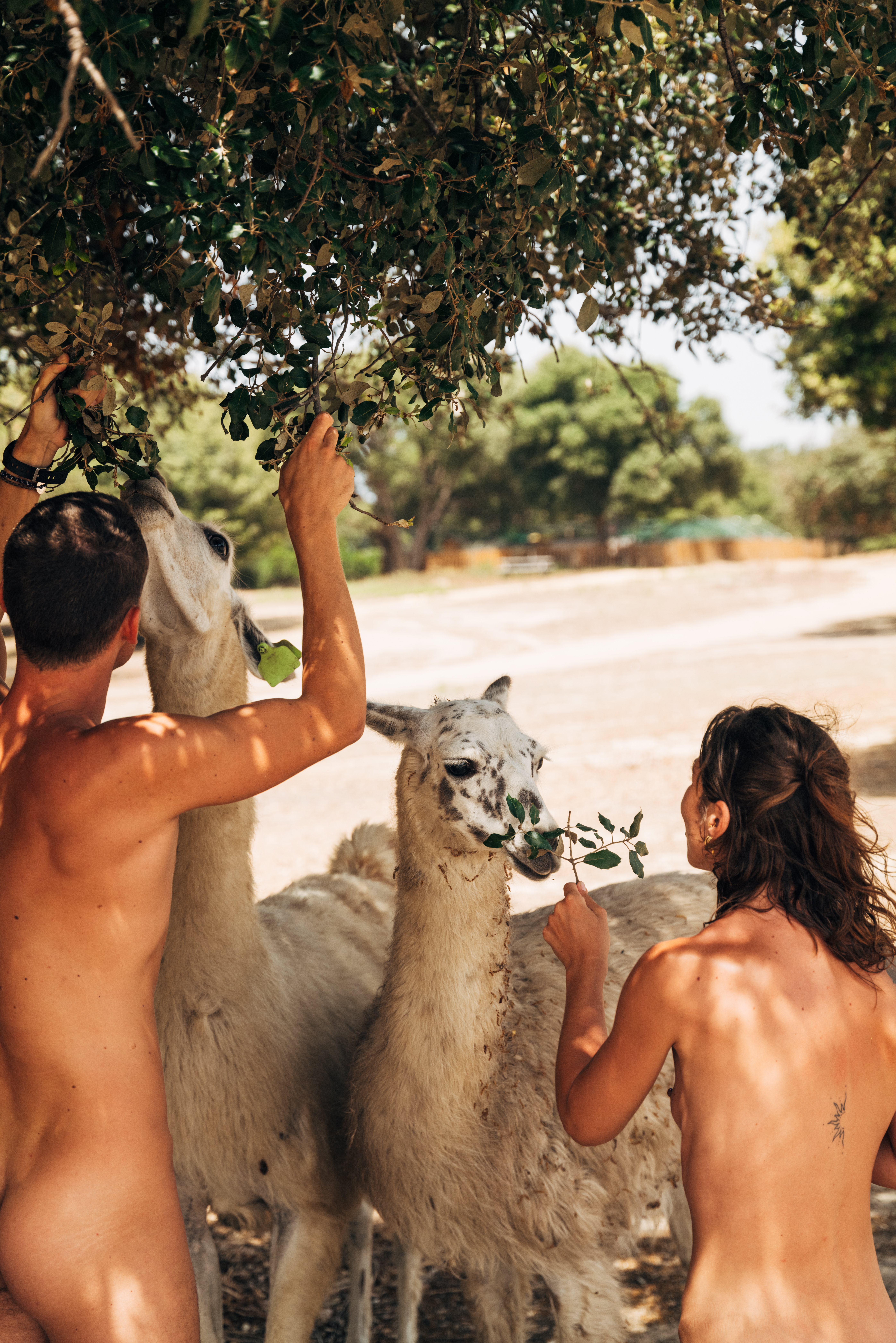 Foto: © Seb Chebassier_F4N_RivaBella