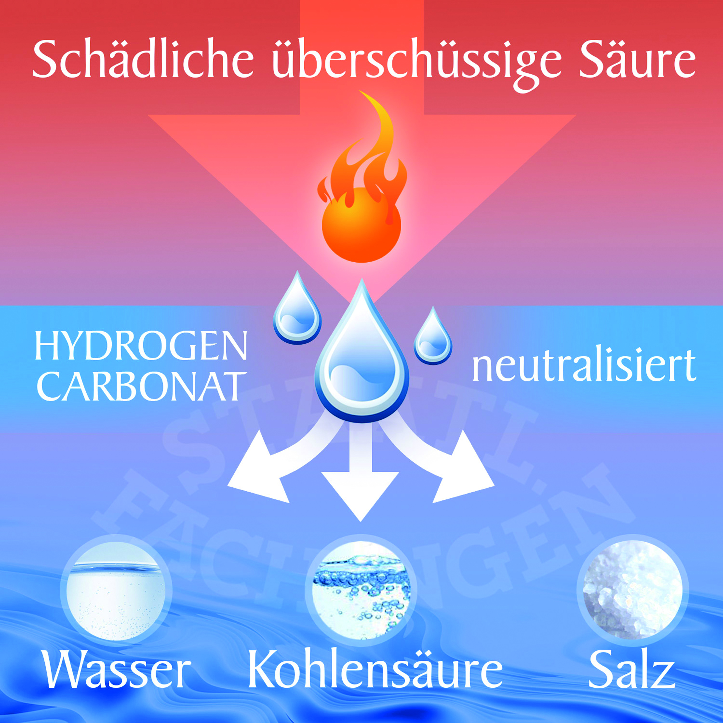 Die ausgleichende Wirkung von Staatl. Fachingen STILL kann s&auml;urebedingte Beschwerden nat&uuml;rlich lindern. Foto: © Fachingen Heil- und Mineralbrunnen GmbH