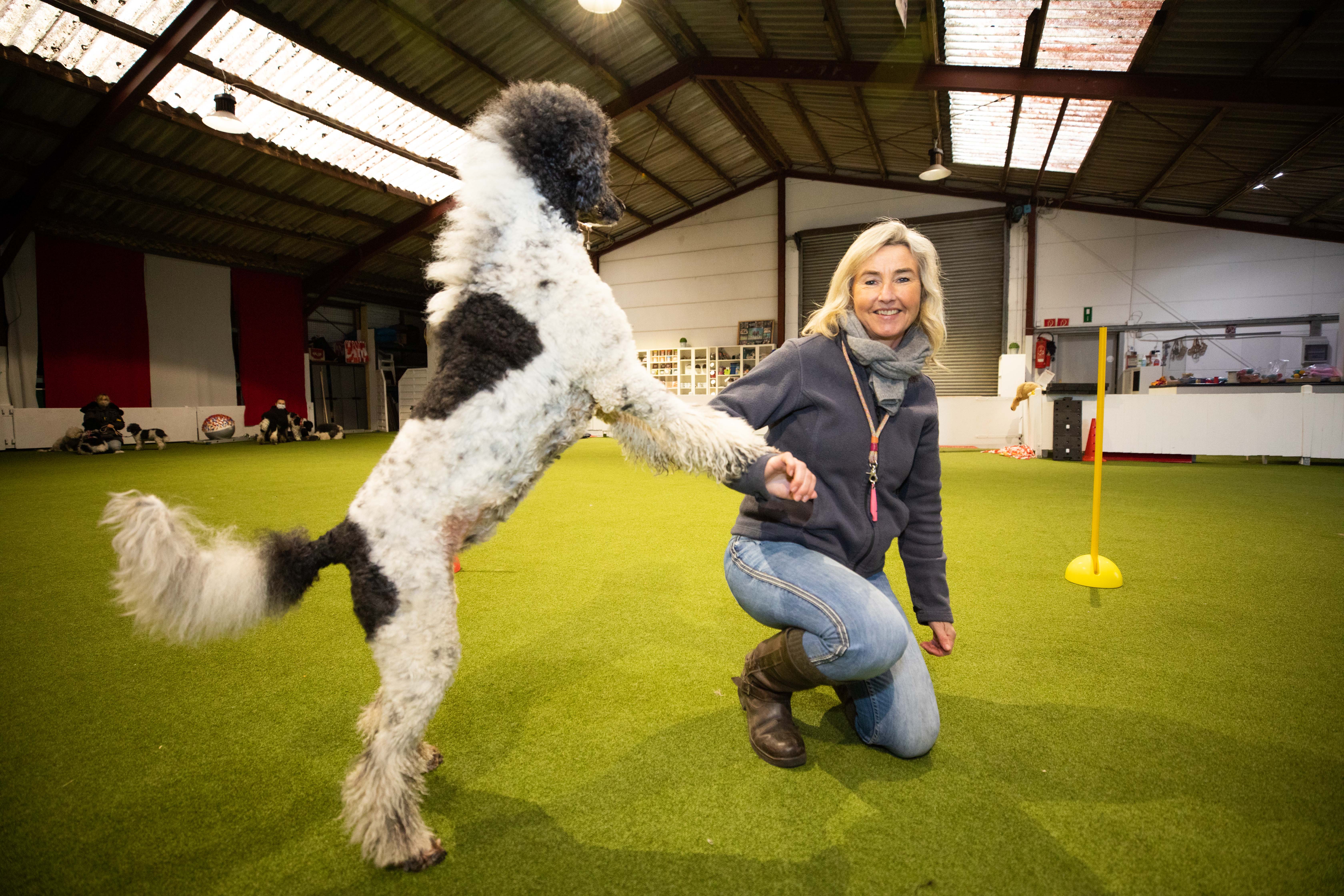 Dog Dance stellt hohe Anforderungen an Hund und Herr. Foto: © Sven Füllers Fotografie