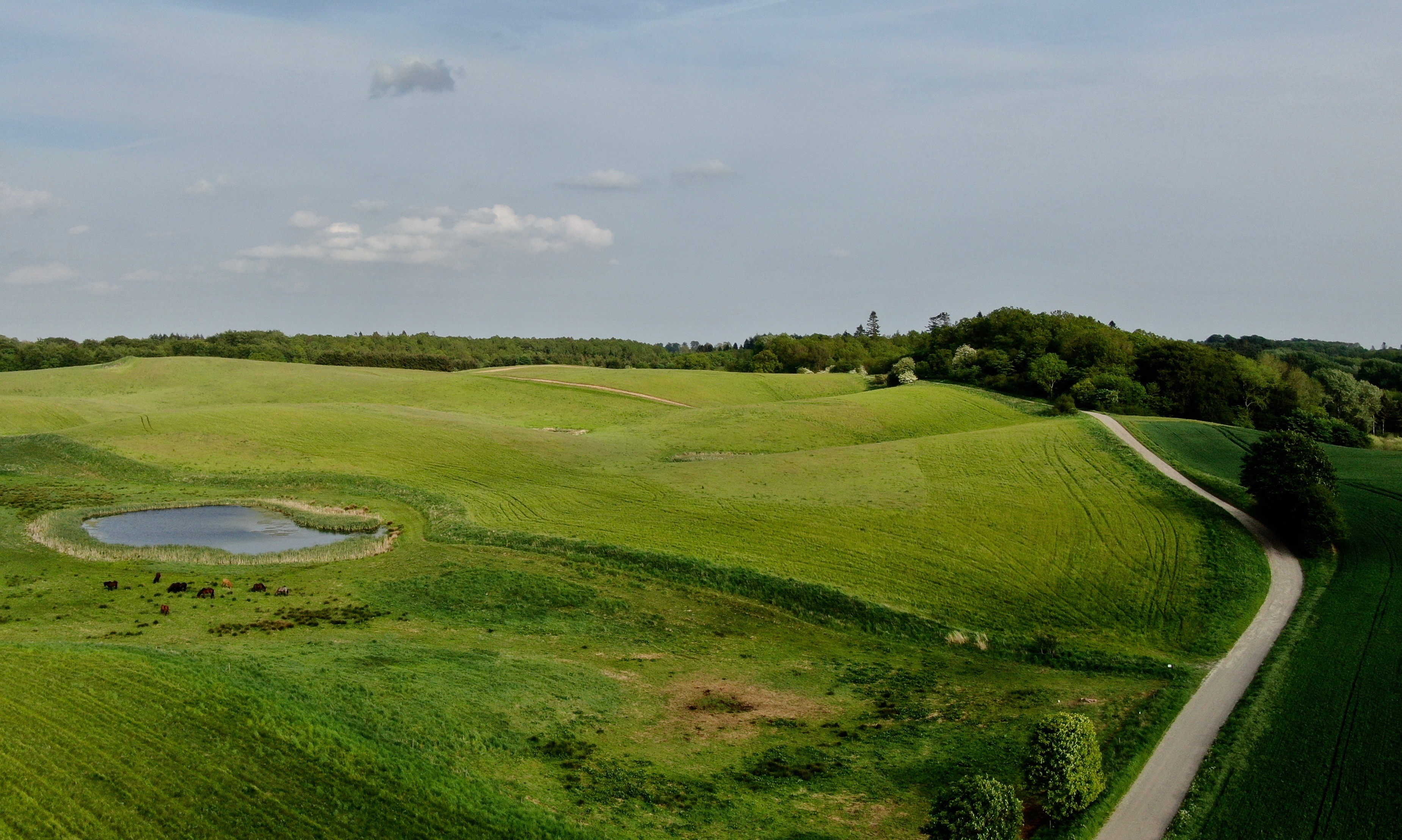 Foto: © ISTIDRUTEN