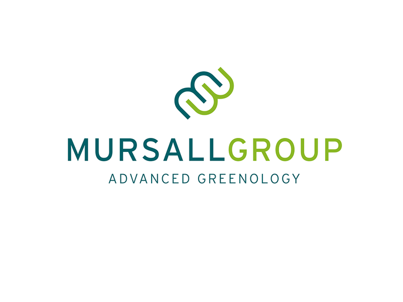 Foto: © Mursall Group