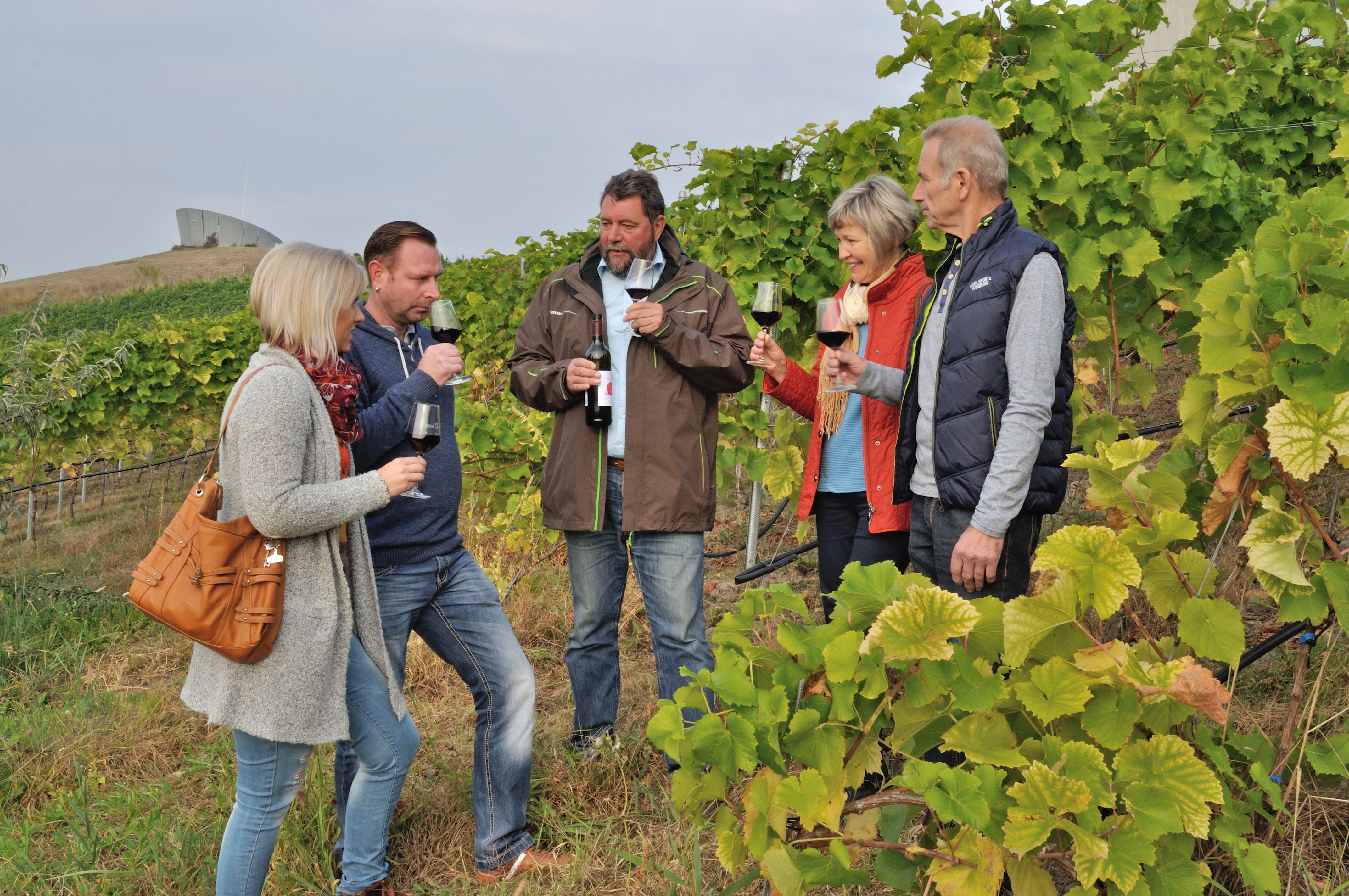 Weinbergführung an den IBA-Terrassen Foto: © Tourismusverband Lausitzer Seenland e.V. /Foto: Nada Quenzel