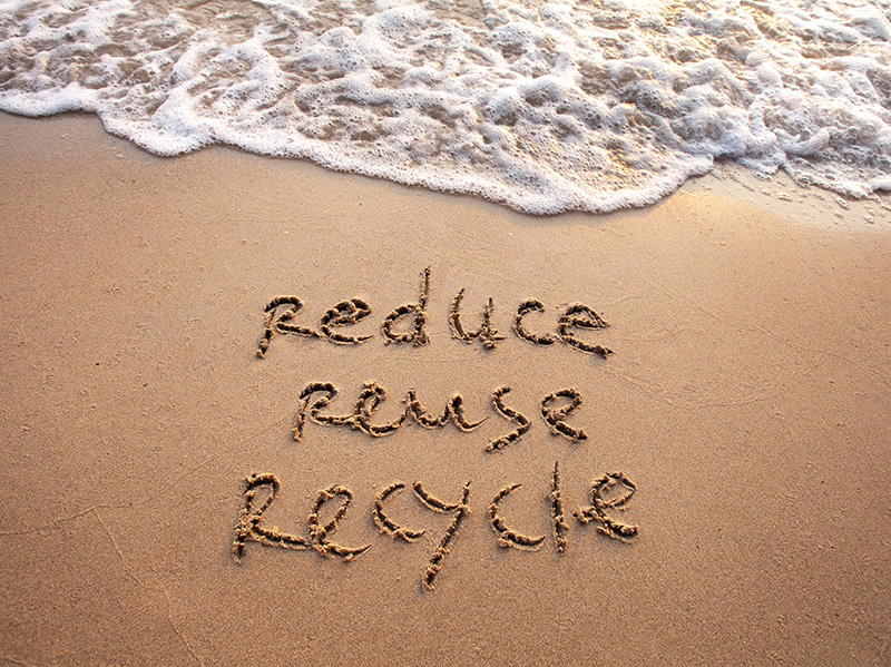 Nachhaltigkeit ist auf jeder Ebene ein großes Thema für das Unternehmen aus Oldenburg. Foto: © Adobe Stock / Nova Hüppe