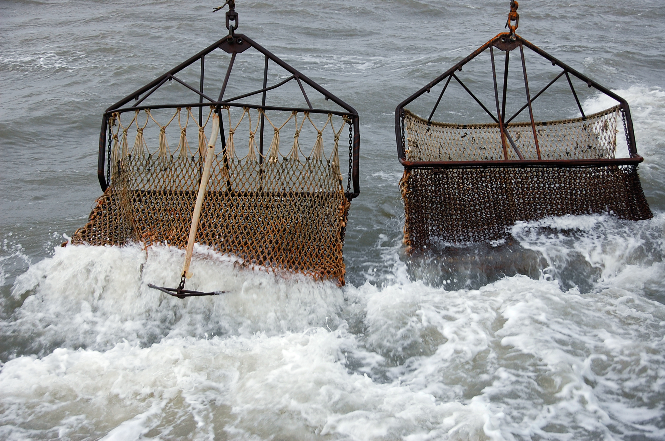 Schleppnetze, die sogenannten Dredgen, werden über den Meeresboden gezogen. In einem befestigten Korb werden die Muscheln gesammelt. Foto: © Kahlke/de Leeuw