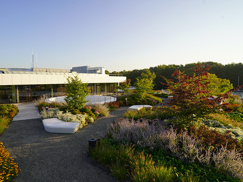 Das Siegerobjekt auch in abendlicher Dämmerung ein Lichtblick. Foto: © Landschaftsarchitektur+