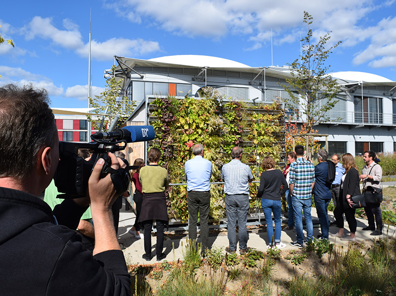 Dach-, Fassaden- und Innenraumbegrünungen sollen im medialen Mittelpunkt stehen. Foto: © Bundesverband GebäudeGrün e. V.