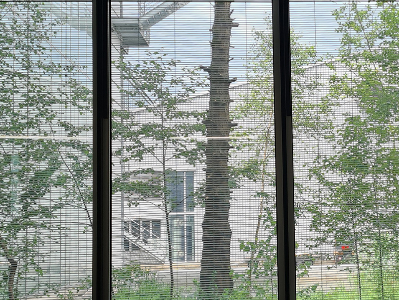 Abb. 12: Durchsicht des Behangs bei aktivem Sonnenschutz. Die Lamellen sind trotz Lichtlenkung und Sonnenschutz kaum sichtbar. Foto: © Dr.-Ing. Helmut Köster „Tageslichttechnik“