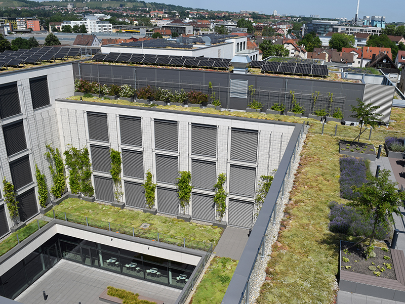 Mit Blick auf den Klimawandel und seinen Folgen, ist die Gebäudebegrünung ein unverzichtbarer Bestandteil bei Bestands- und Neubauten. Foto: © Bundesverband GebäudeGrün e.V.