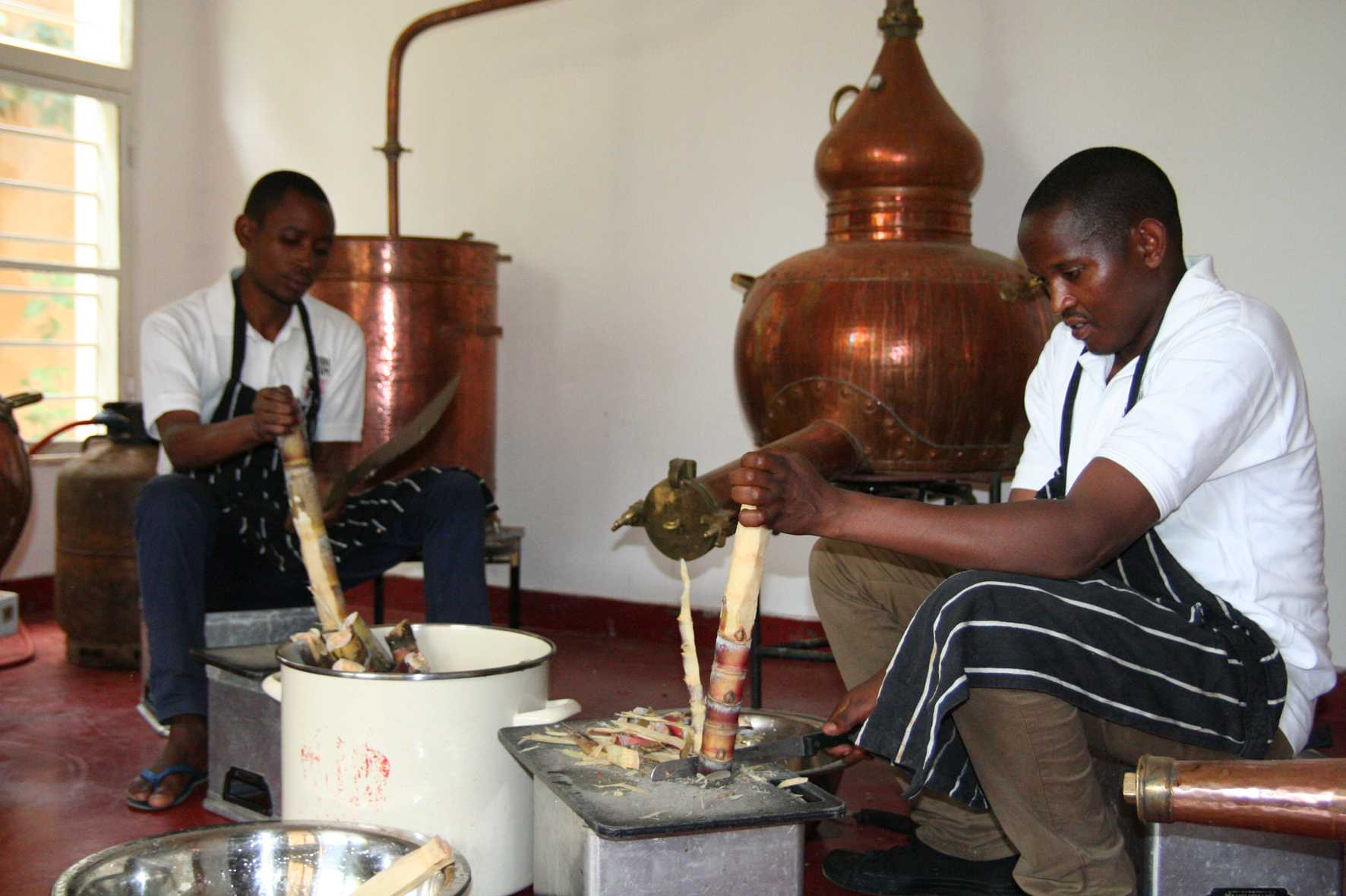 Schray's Distillery in Ruanda: Zuckerrohr f&uuml;r den n&auml;chsten Rumbrand Foto: © Jordan Snowzell