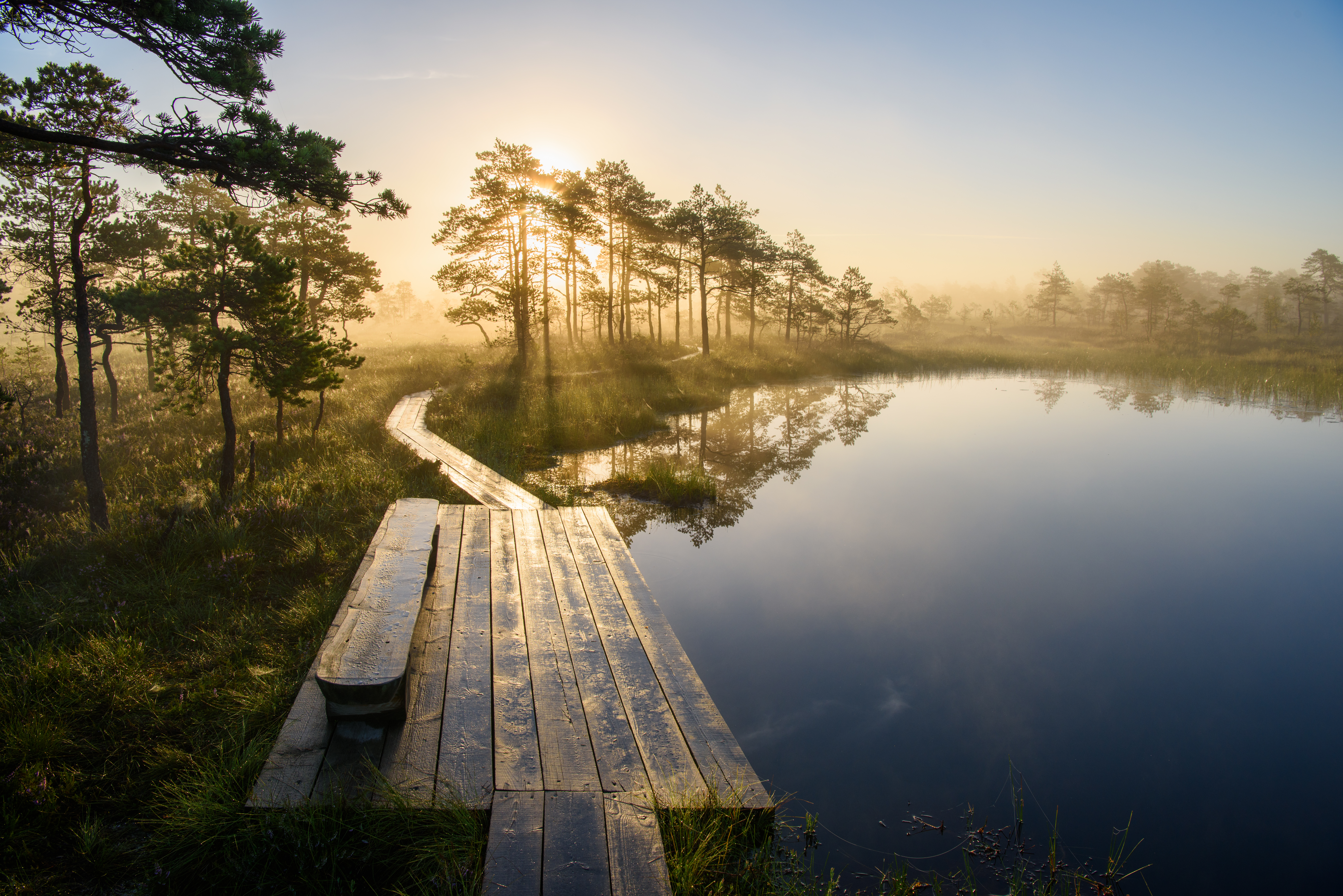 Chillen mit allen Sinnen. Der Soomaa Nationalpark bietet zu jeder Tageszeit ein anderes Licht. Foto: © Sven Zacek