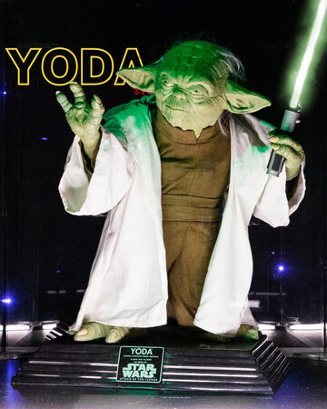 'Tu es oder tu es nicht. Es gibt kein Versuchen', sagte der außerirdische Jedi-Meister Yoda einst. Die Star Wars-Fans haben sich diese Worte zu Herzen genommen und die Exponate selbst hergestellt sowie gesammelt. Foto: © EMS