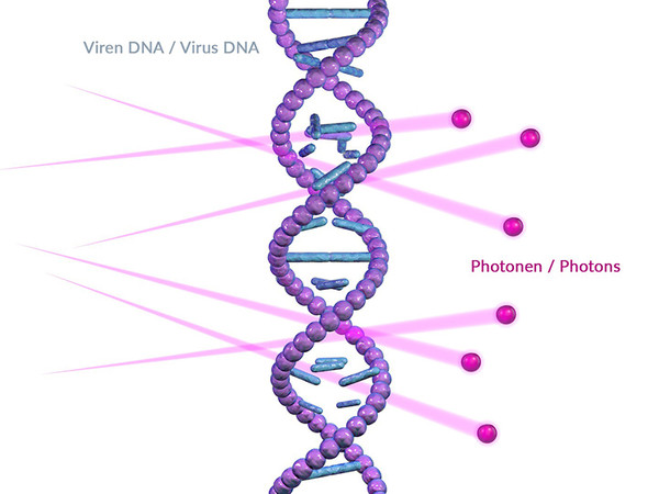 Photonen zerstören die DNA von Viren und Bakterien und hindern sie so an der Ausbreitung. Foto: © Uventions