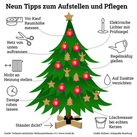 Foto: © Verband natürlicher Weihnachtsbaum e. V. / www.vnwb.de