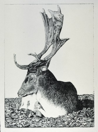 Foto: © Matthias David